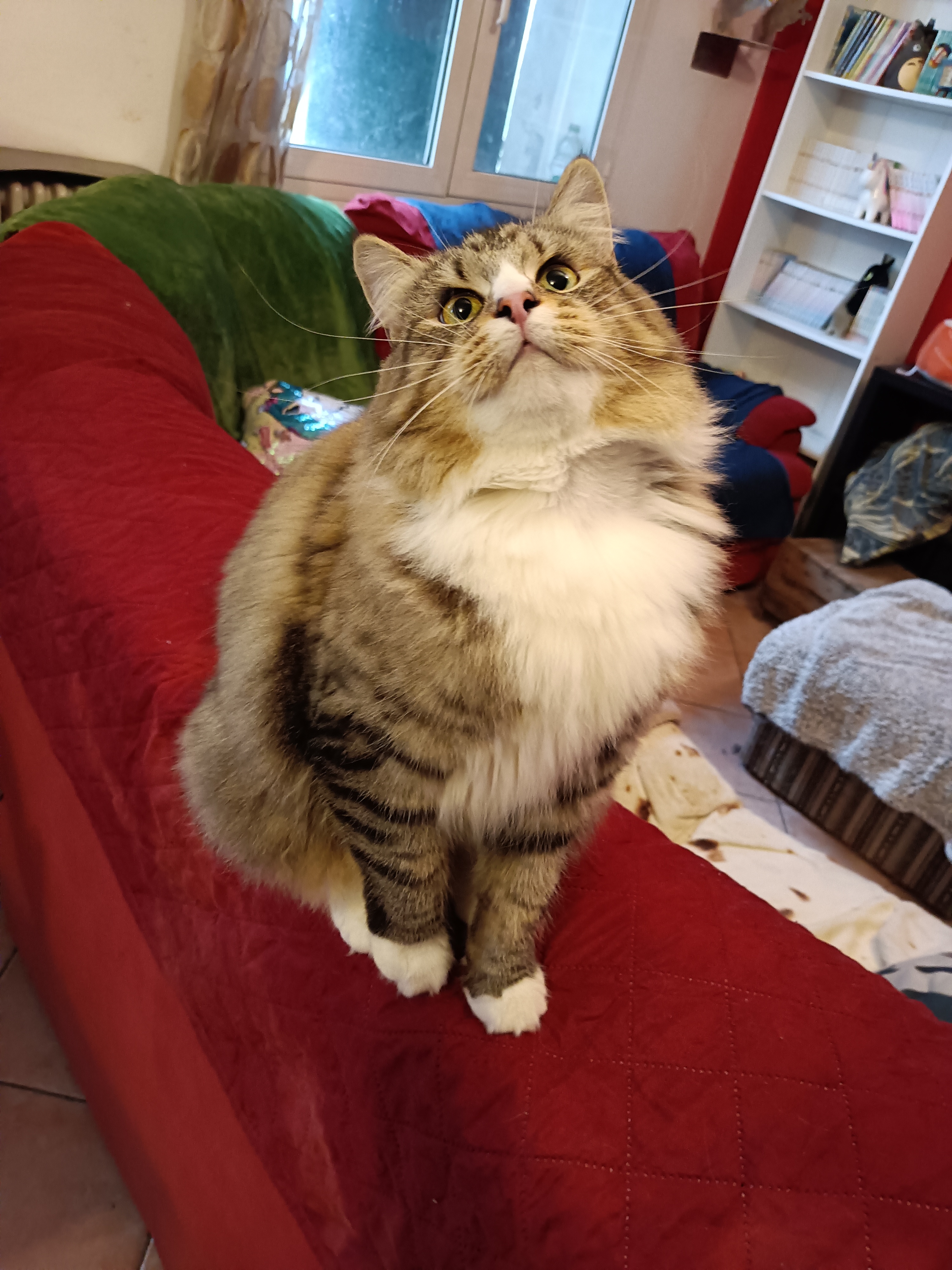 *IT Snow Petals Giselle