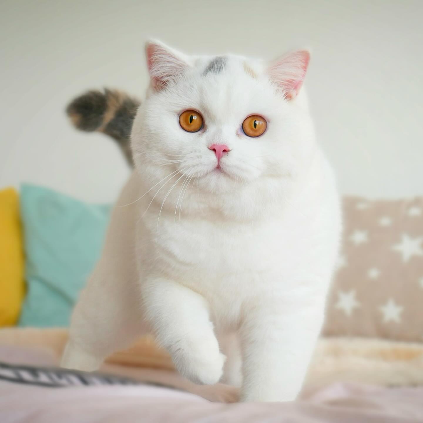 EMMA DE CANDY CLOUDS