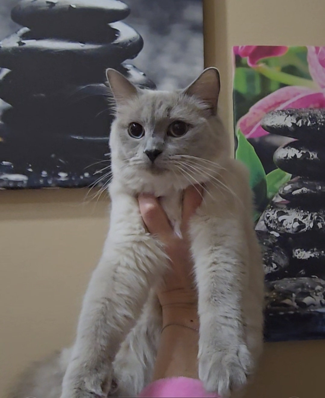 Erika's Blue Stones Barbie