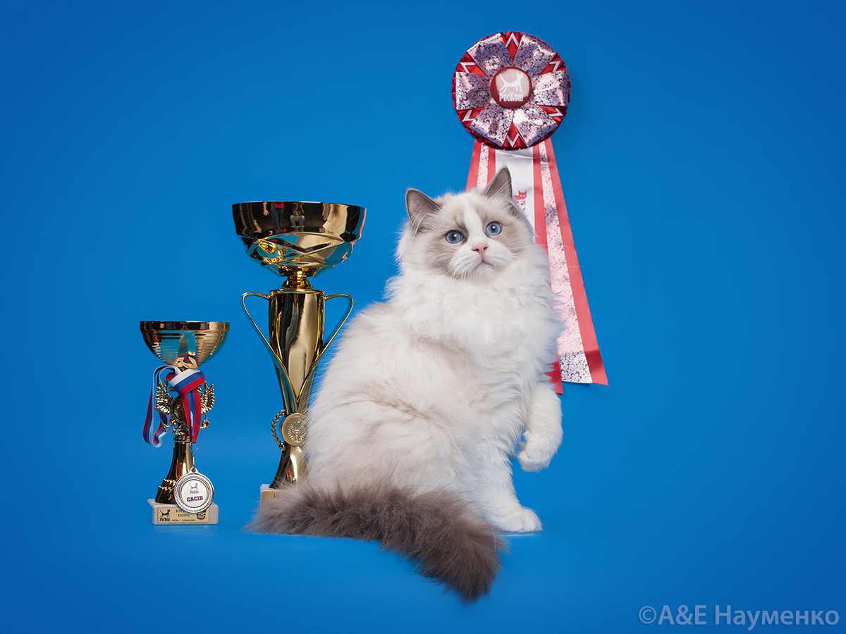 GICH. Marseille CHIFFONDELUX