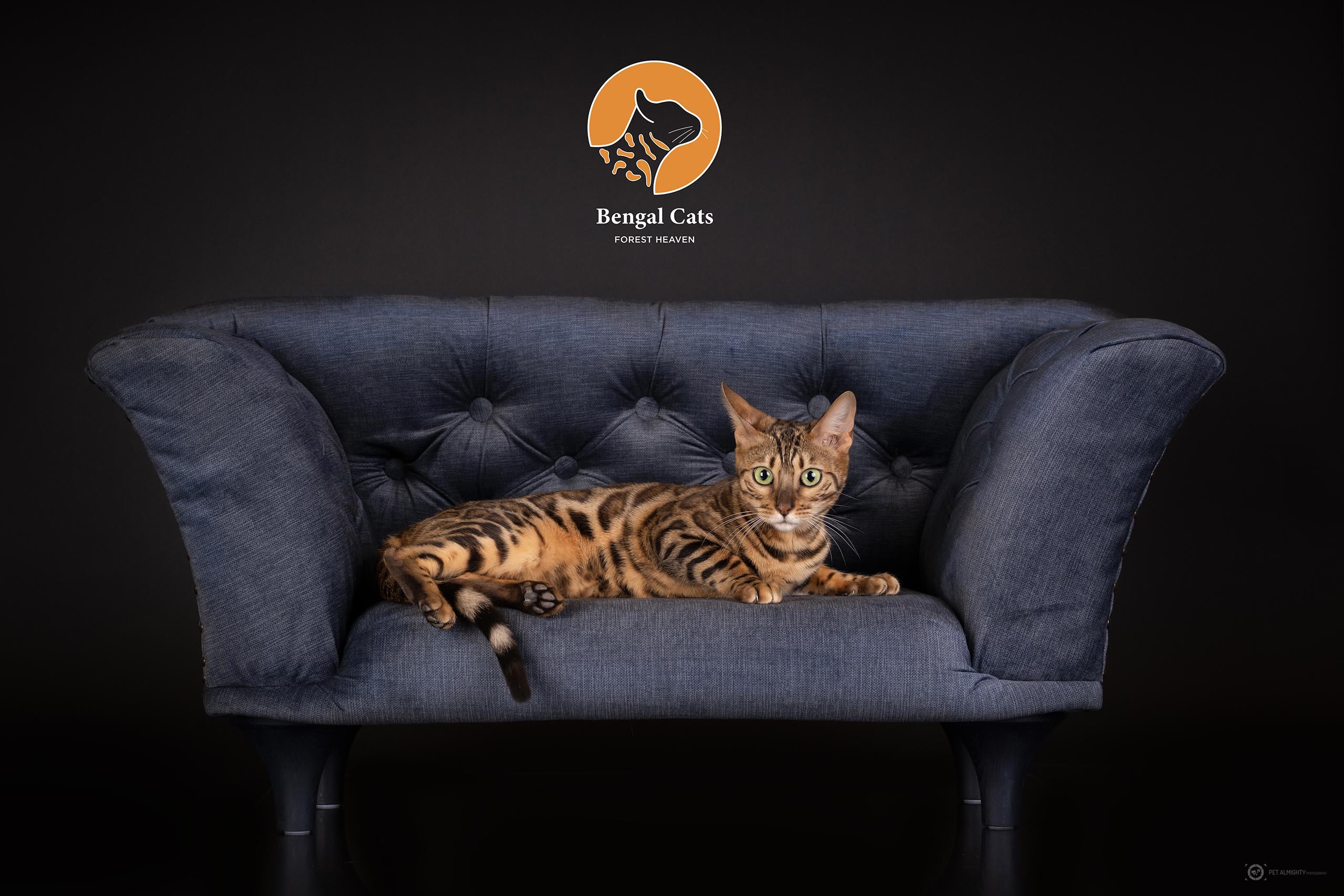 Dasha Forest Heaven*HR