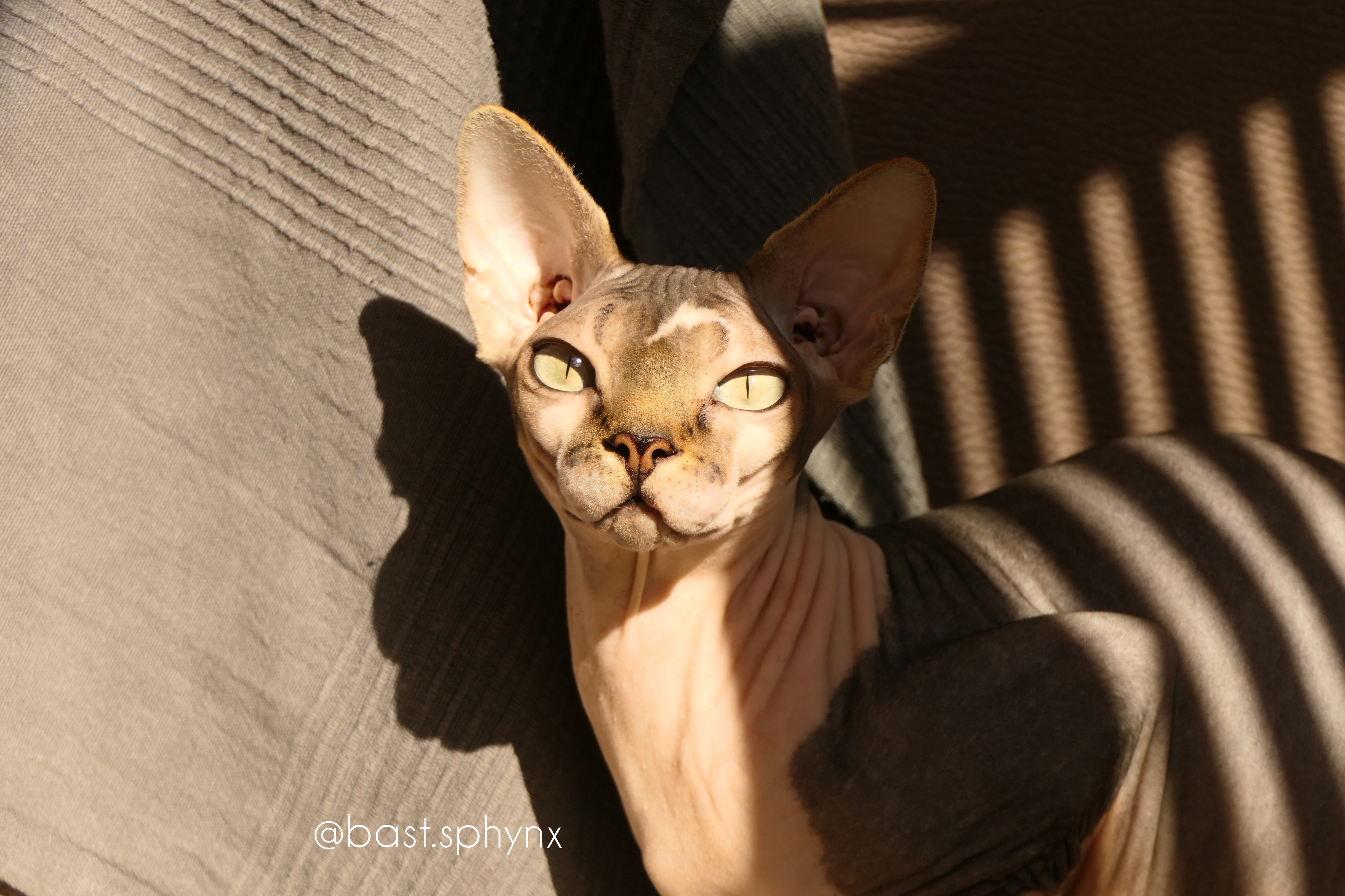 CH. Bast R'lyeh Time