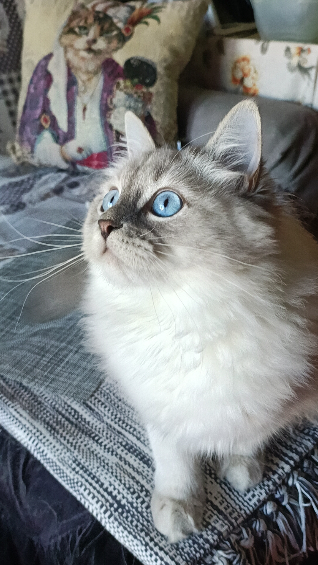 Anastasia Zarina Snejnaya Krasa