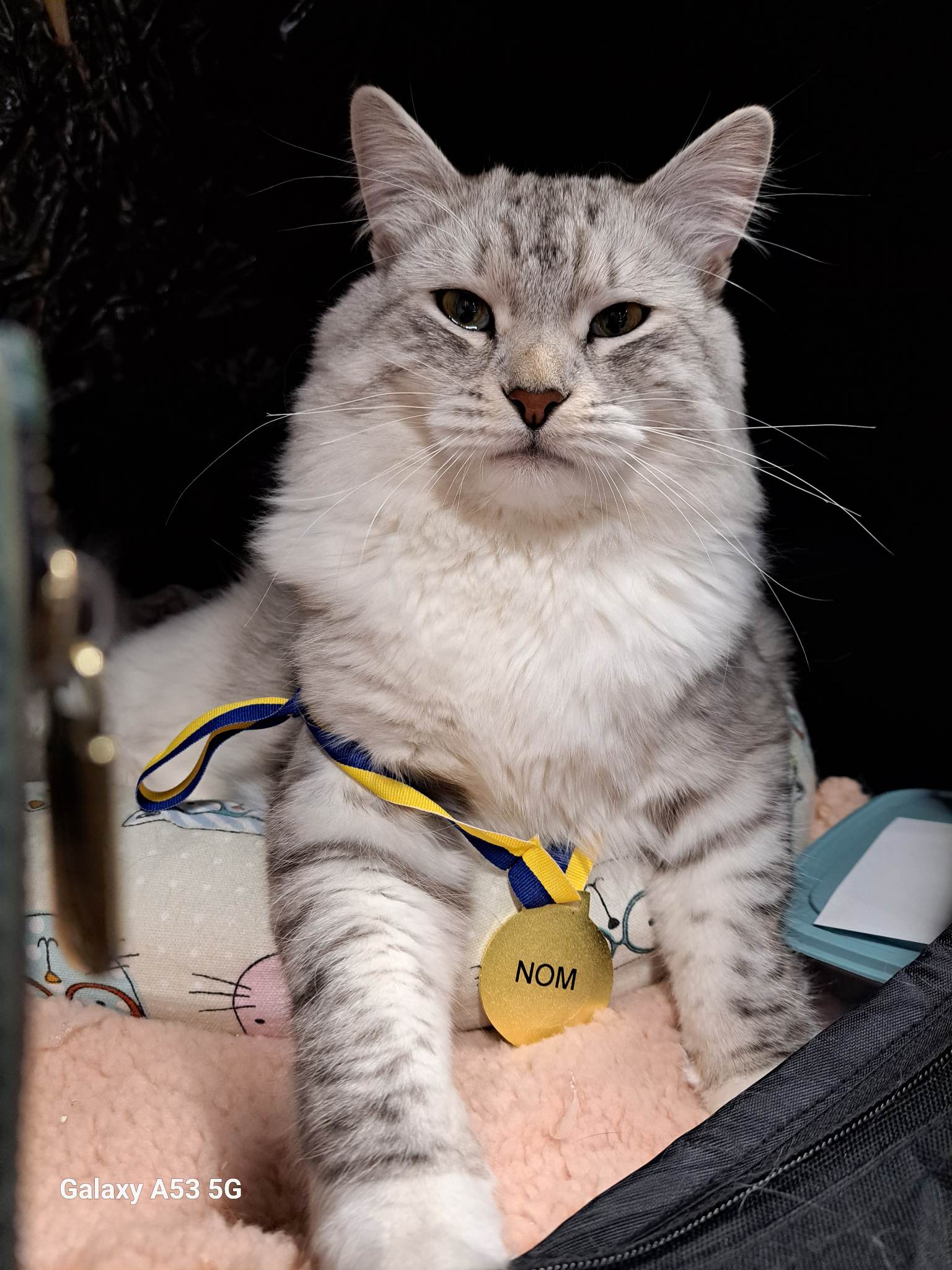 SE*Solenakatten Love af Prish