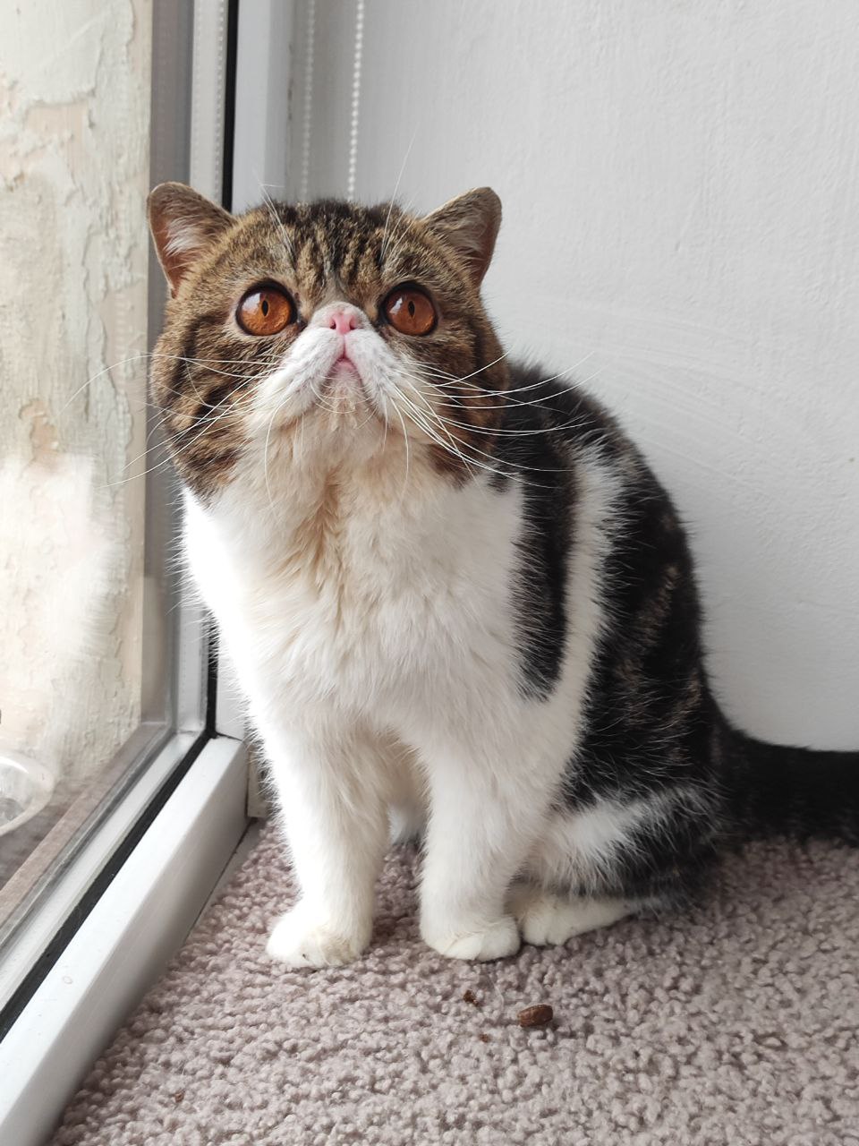 Naomi Babys Lawrence