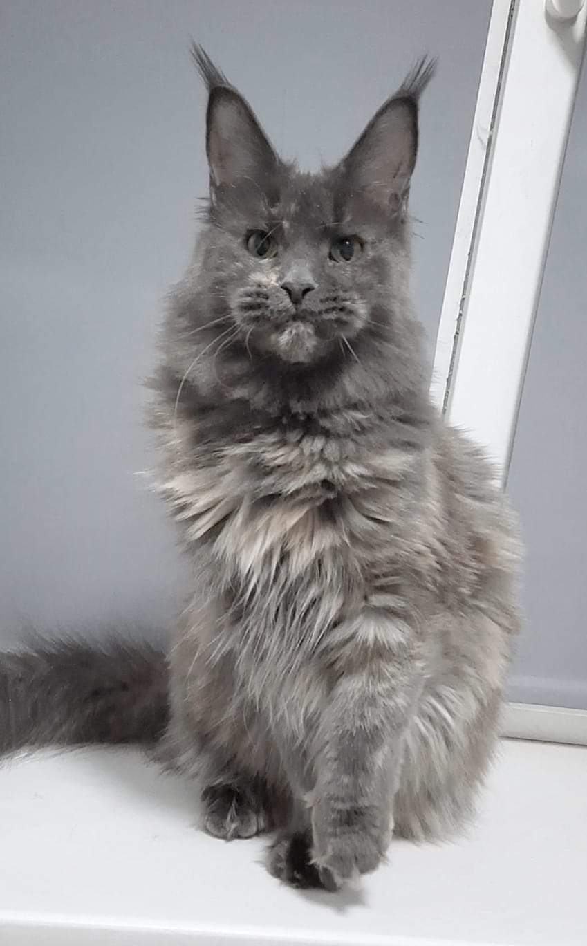 CH. I love you KAZAKOFF RU