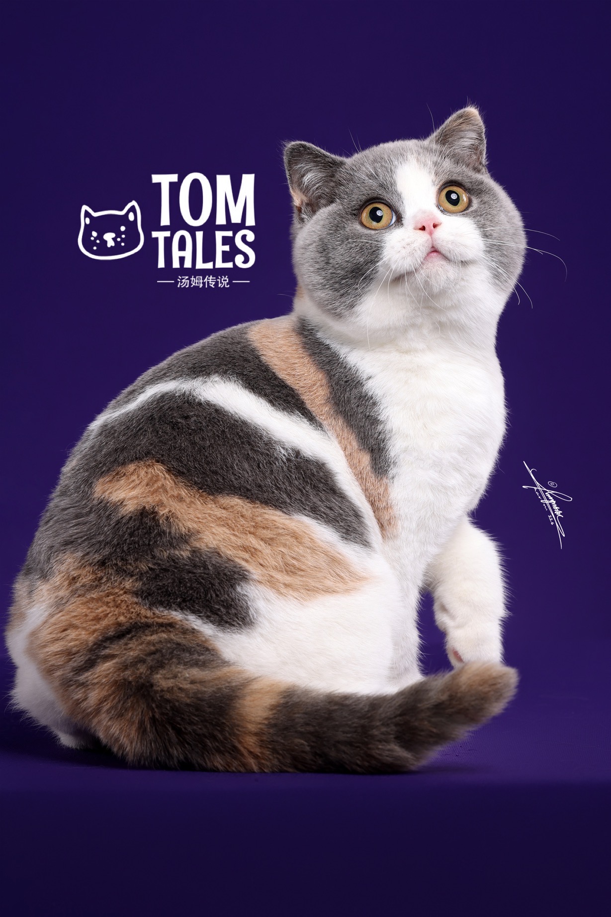 JCH. TOM TALES-PUFF YANG