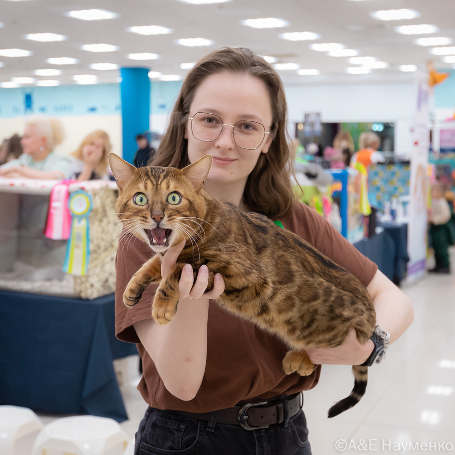 ICH. BootyNet Alex Leo