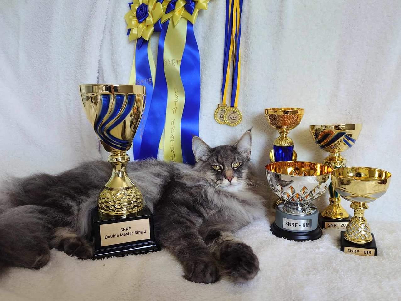 Double Master, IPR. SE*Soleborgs Suckulent