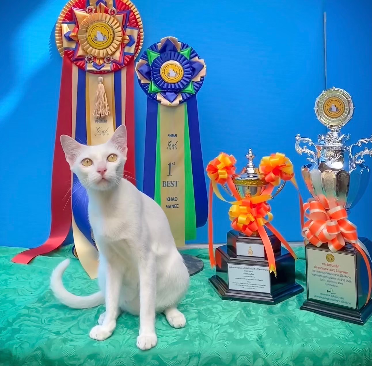 ST Khao manee nont’ San Son