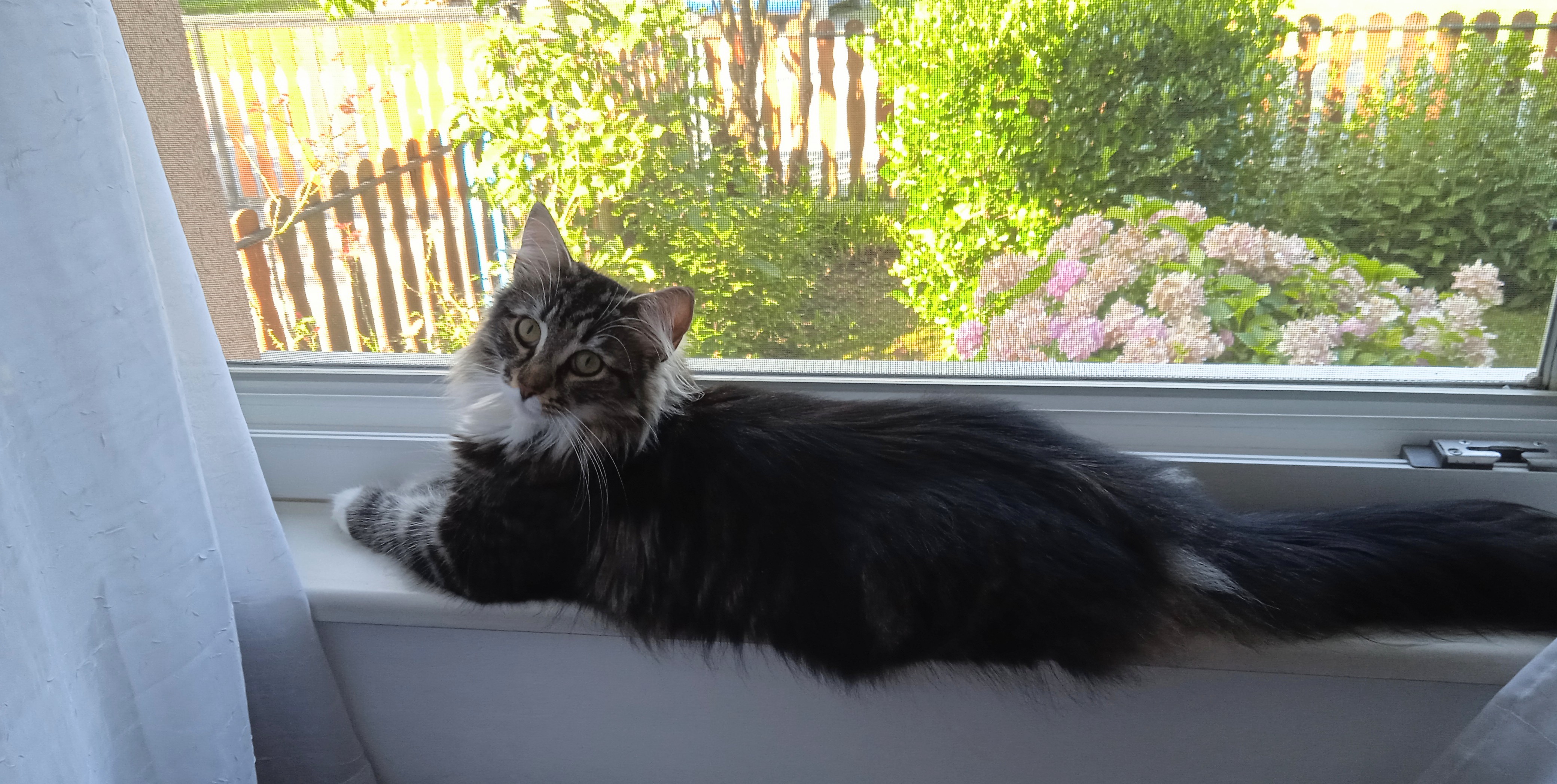 Shtayga's Call It What You Want