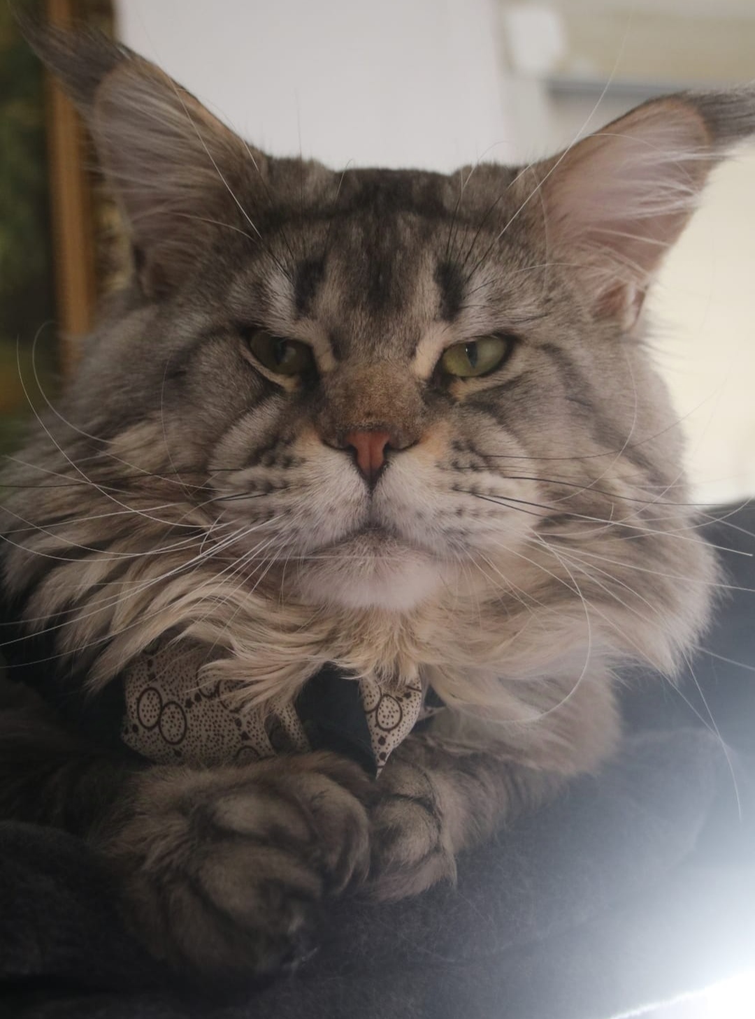 Gentle Jewel Christian