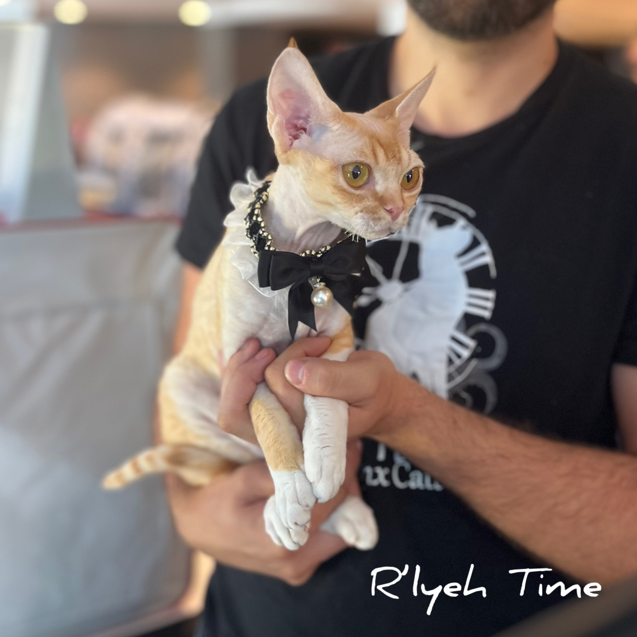 CH. Leia Menski De Von *PL