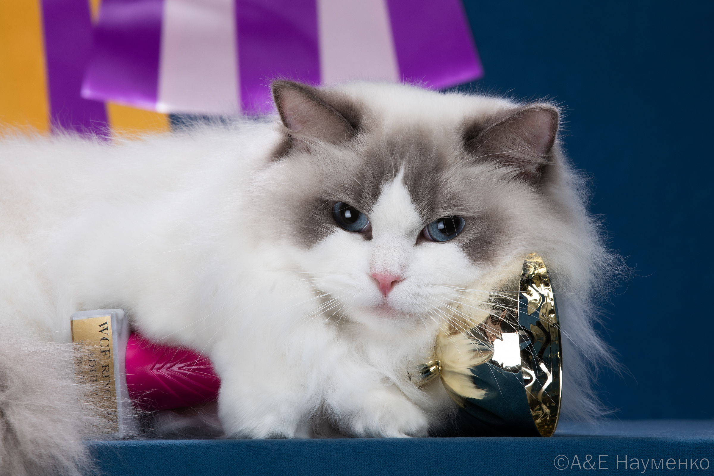 Z'Fire CareForPets*RU