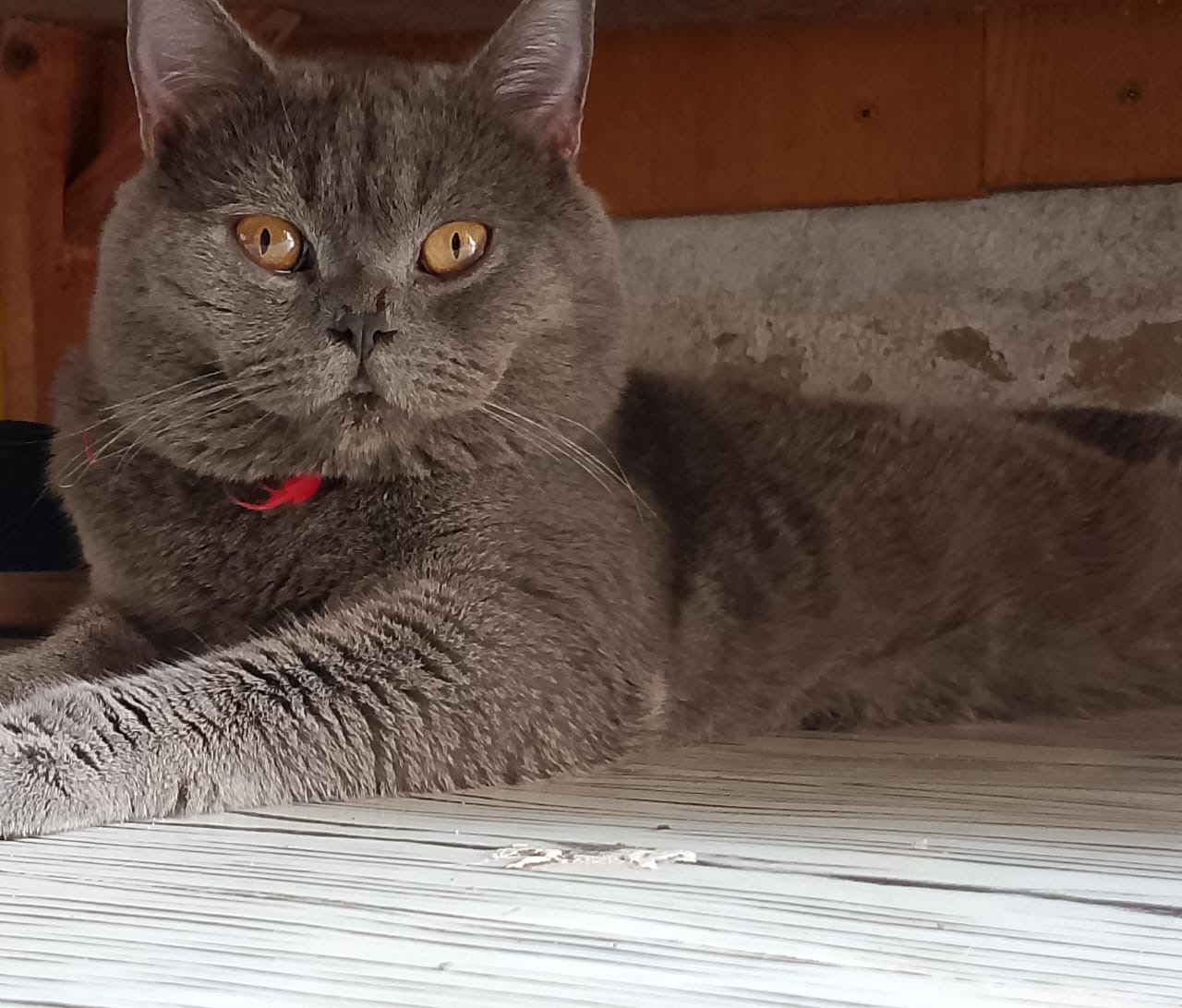 Ch. Bazkoul les Cascades