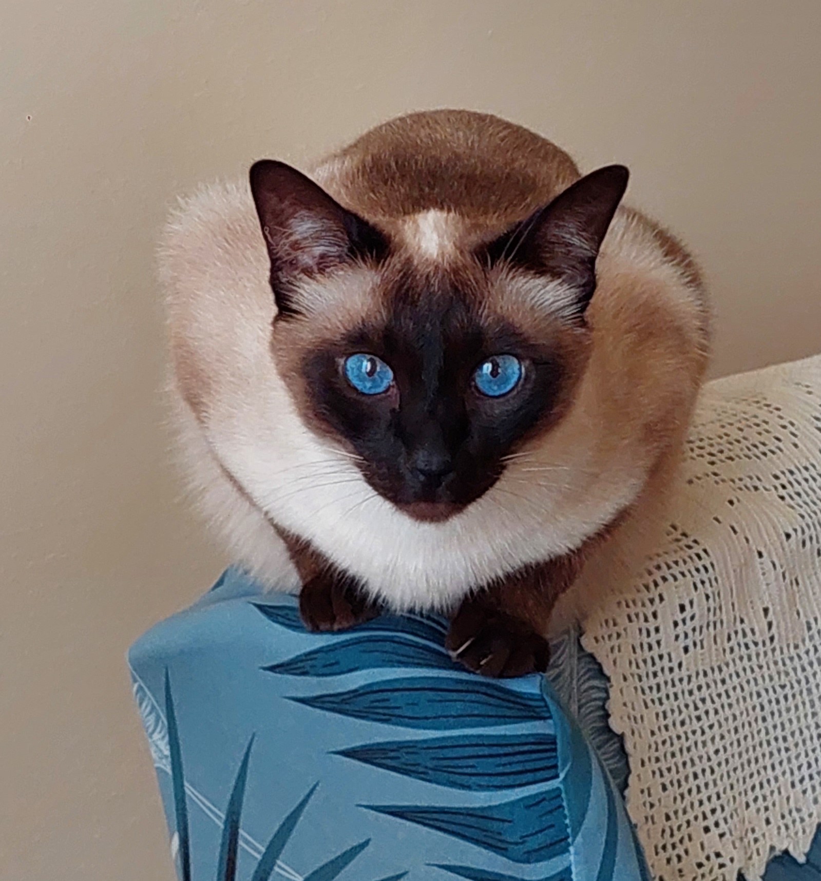 O'HARA DEI THAI DI RAMA