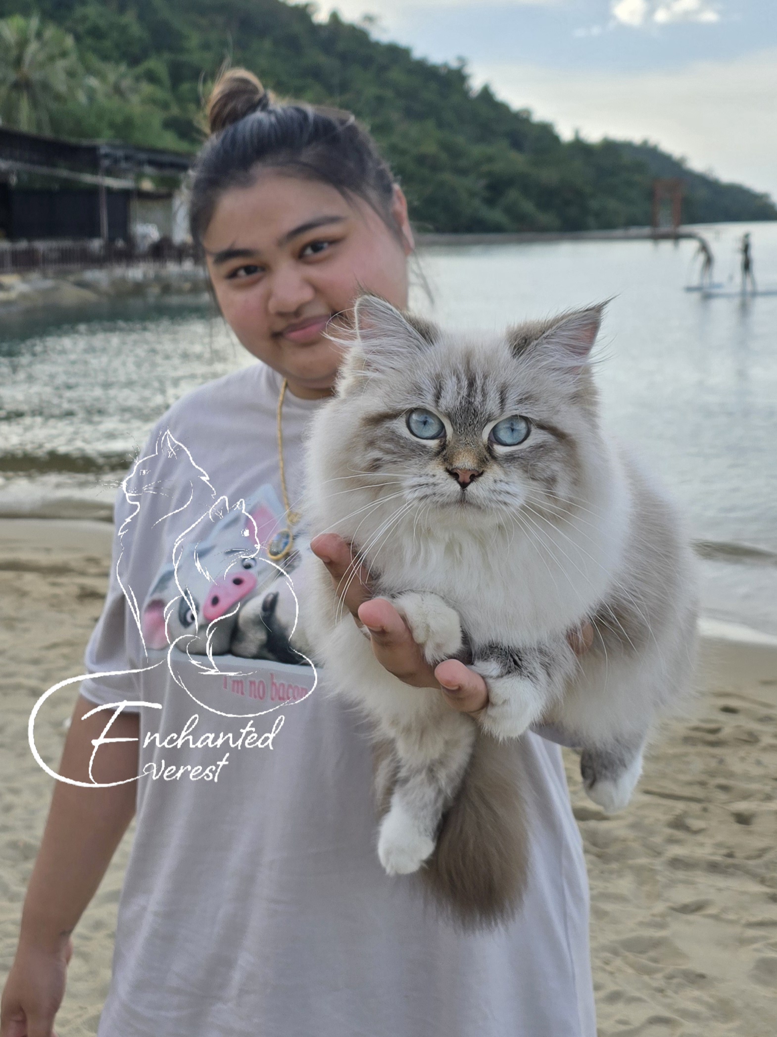 Enchanted Everest's Alice