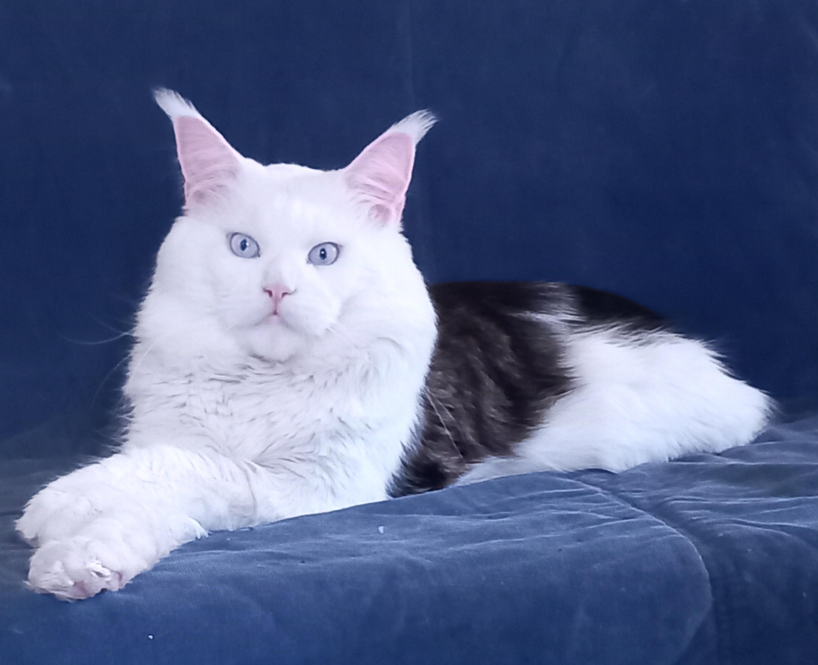 CH. Araton Kerkent-Land