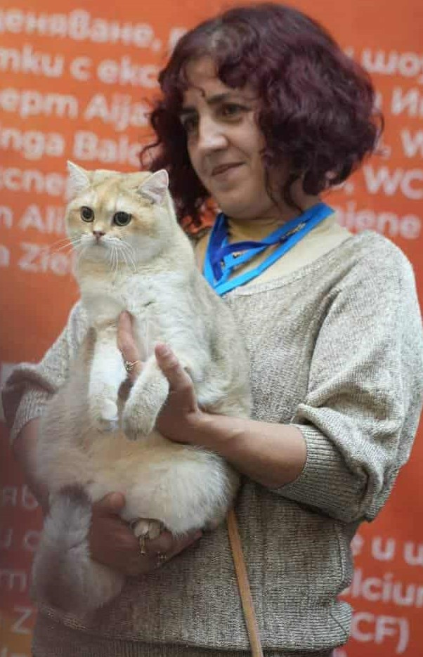 CH. BG Belmira Gioia dai Rodopi