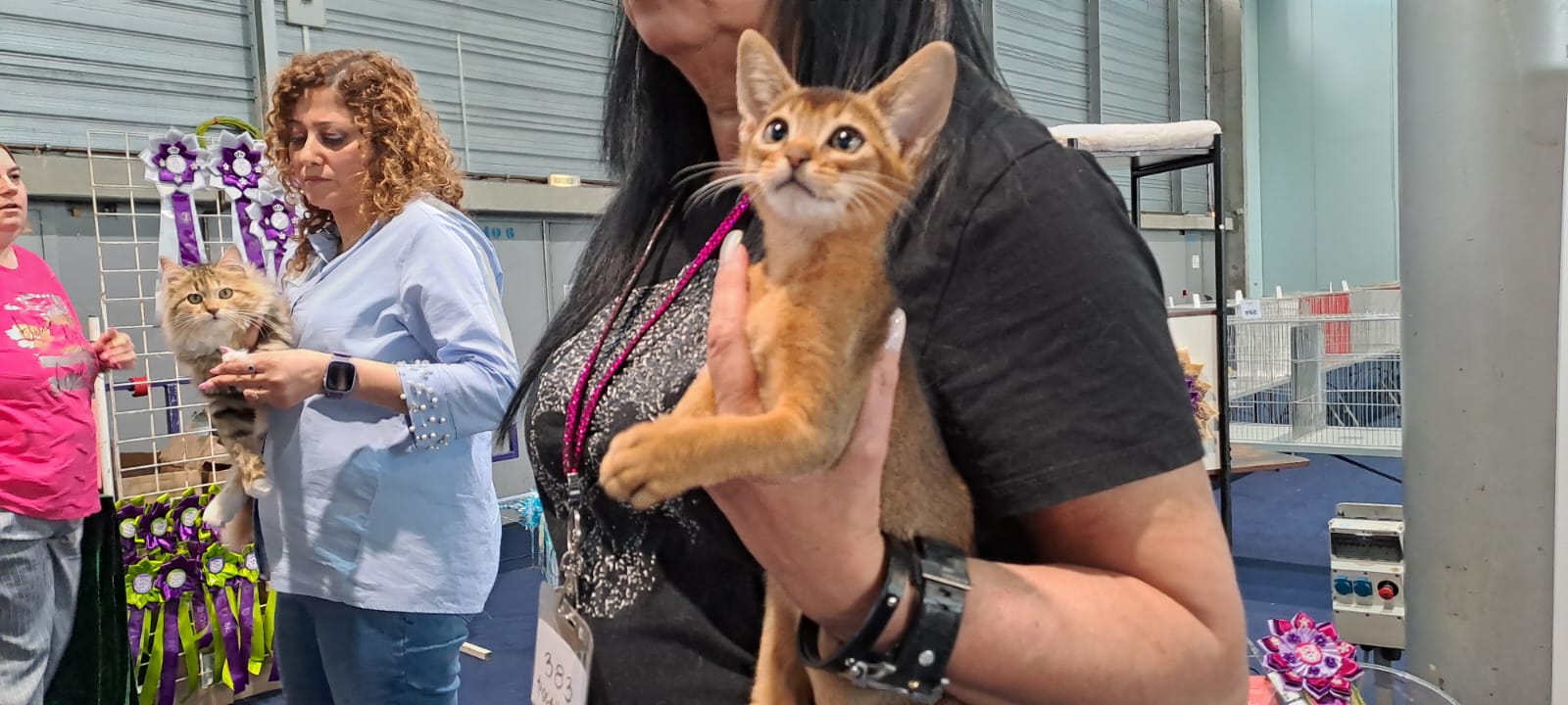 Double Master Pocahontas Cattleya*PL