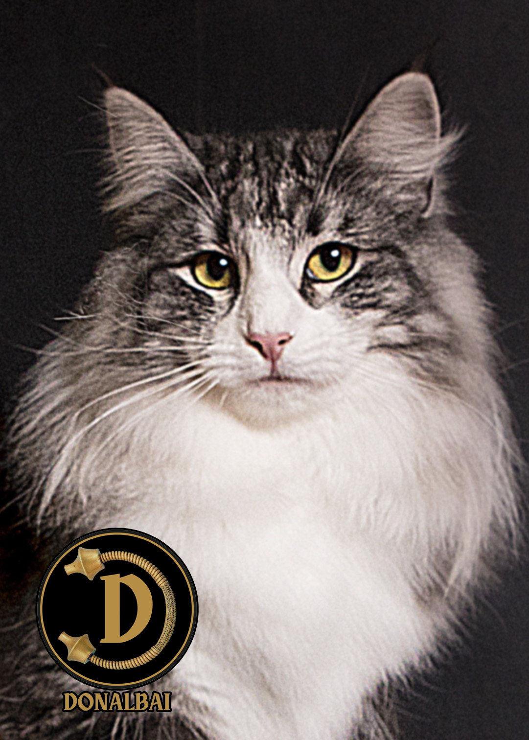 CH. Elba Donalbai*PT