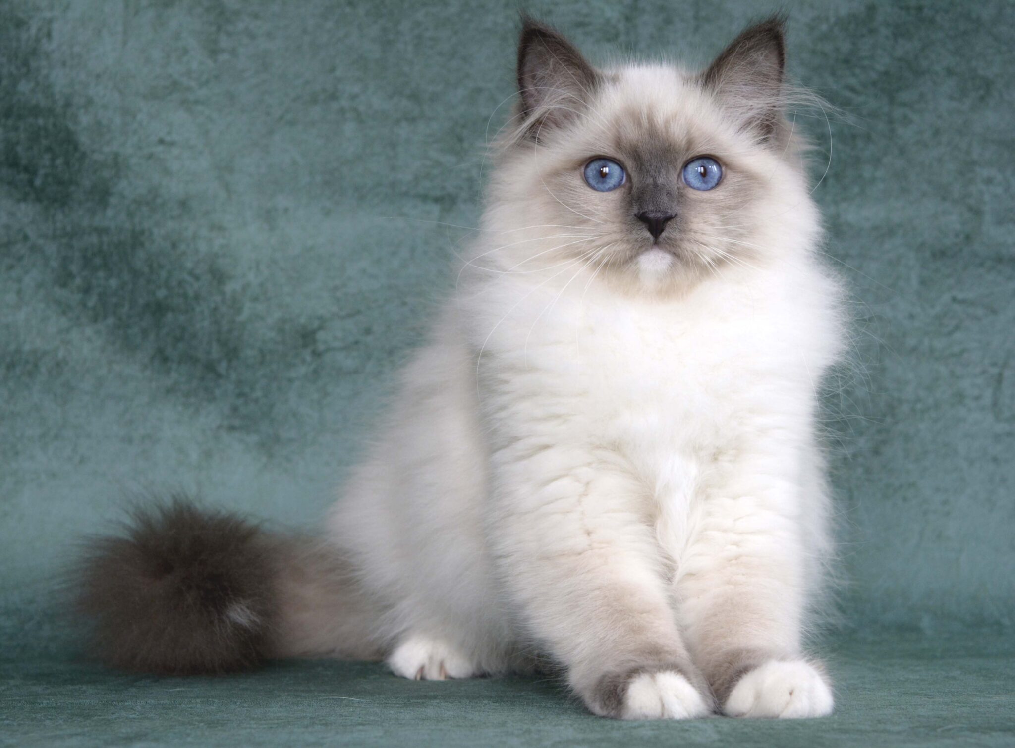 Ruslana Lesnaya Skazka