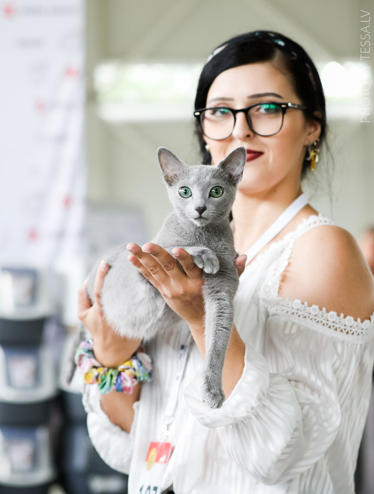 ECH. ECH Coraline Blue Cattleya