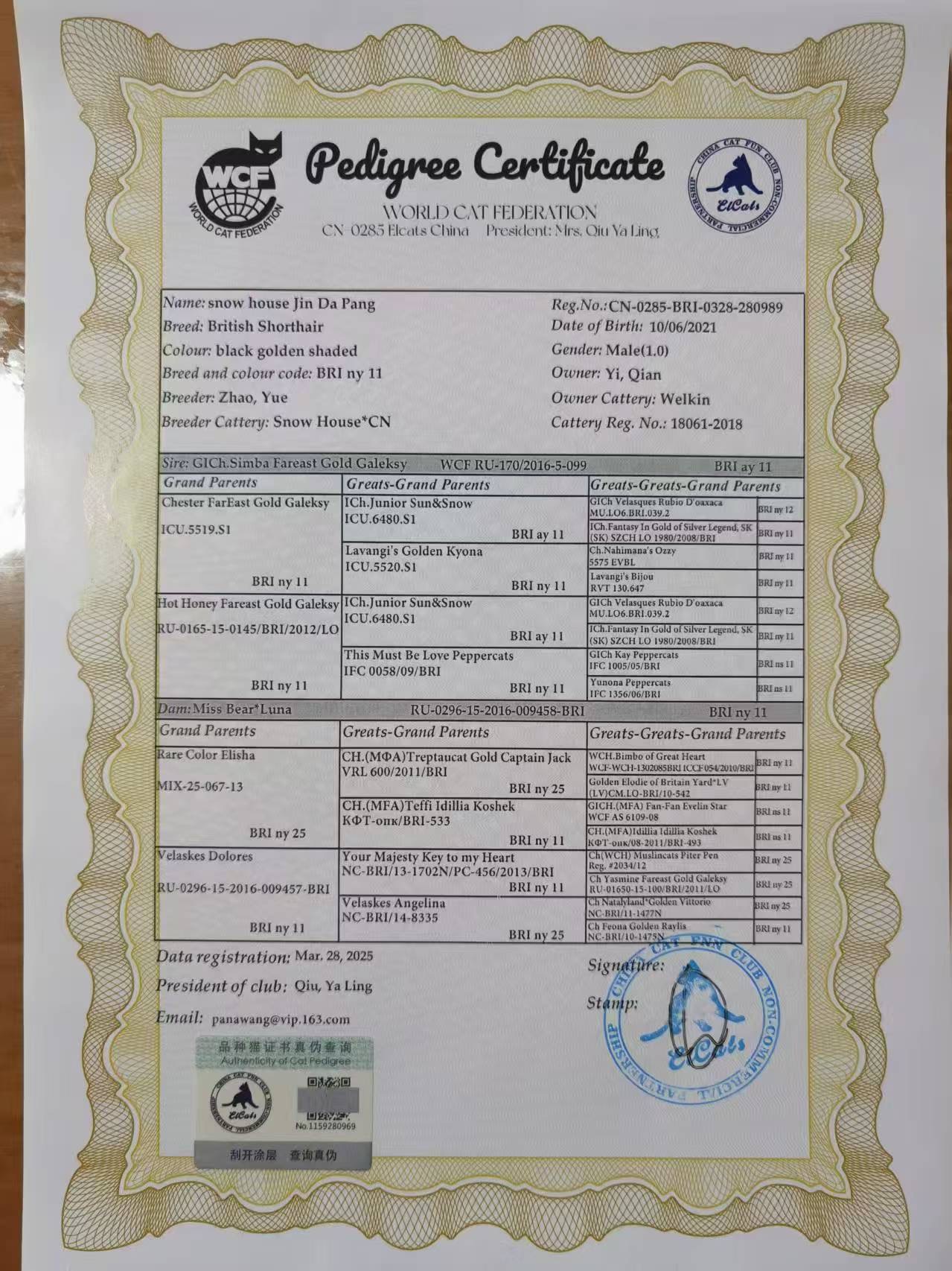 snow house Jin Da Pang