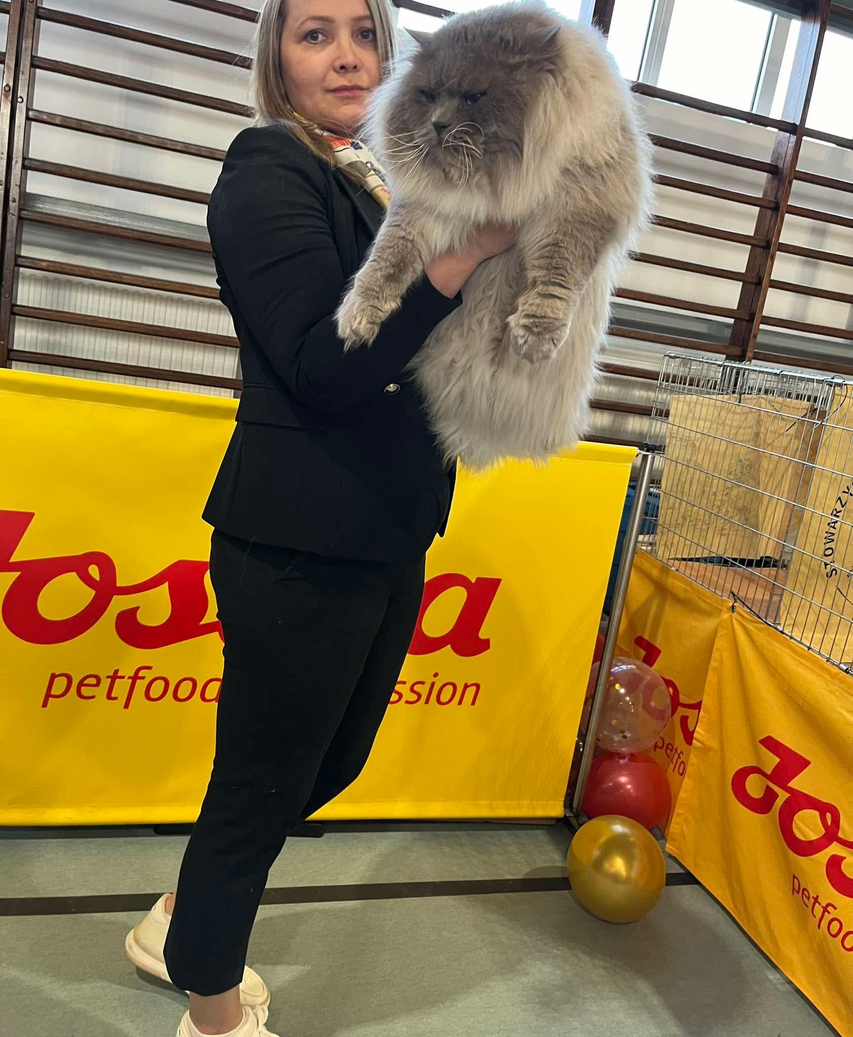 GICH. Milord Snejnaya Zima