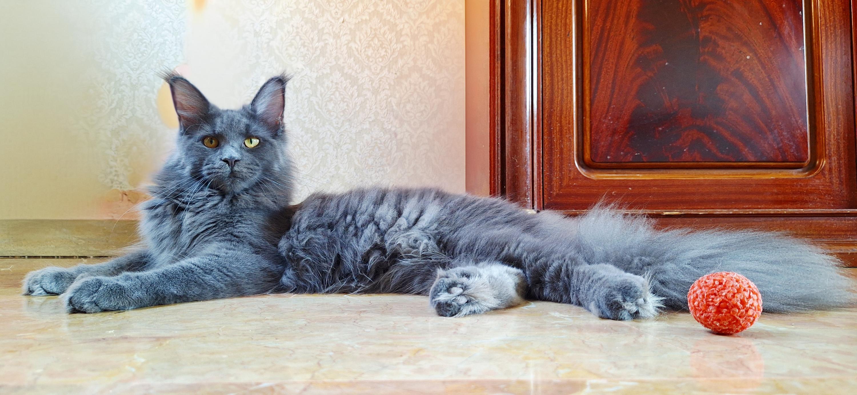 Jasmine I Guardiani delle Orobie