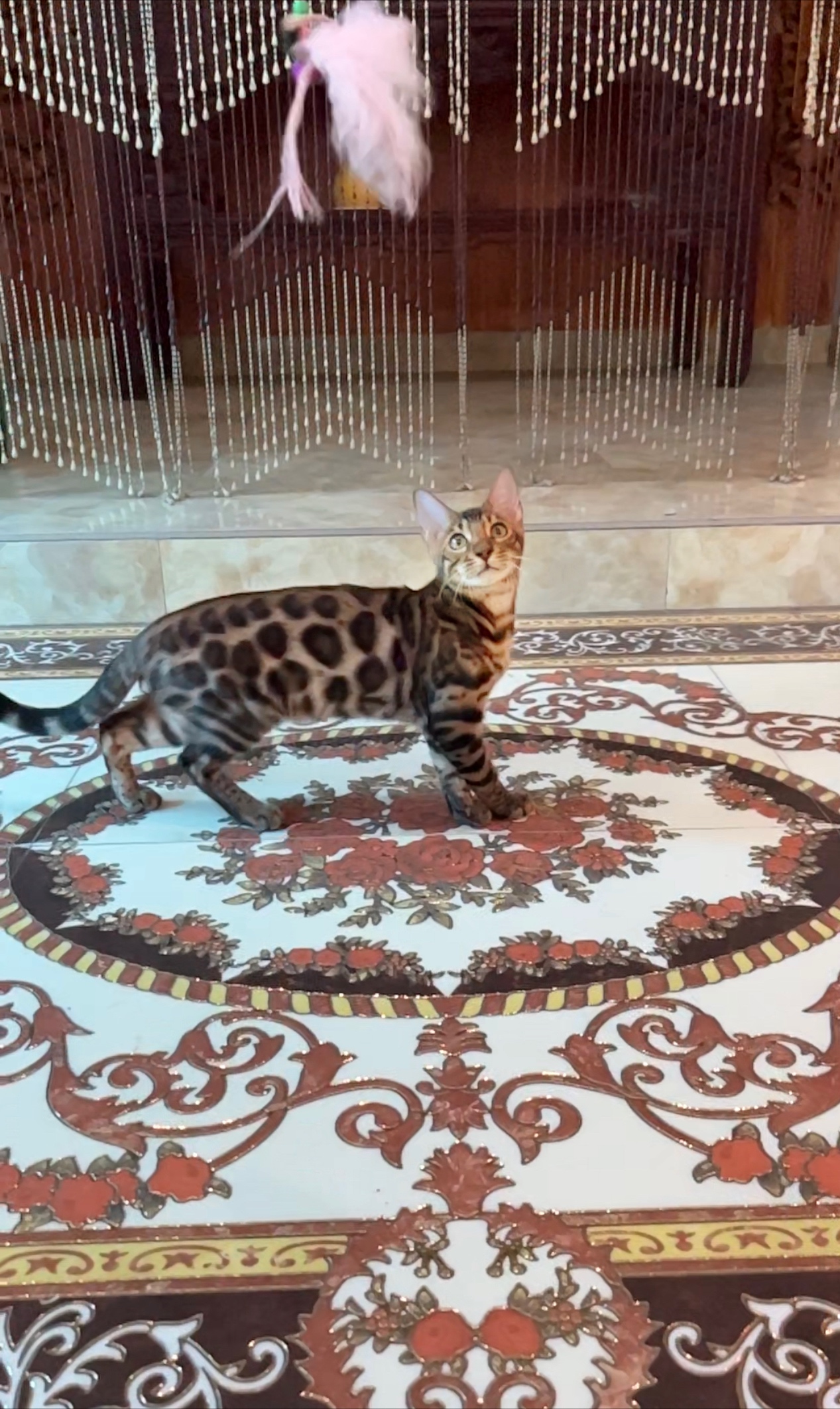 KCH. LEGEND TEMPLE I-HERACLES