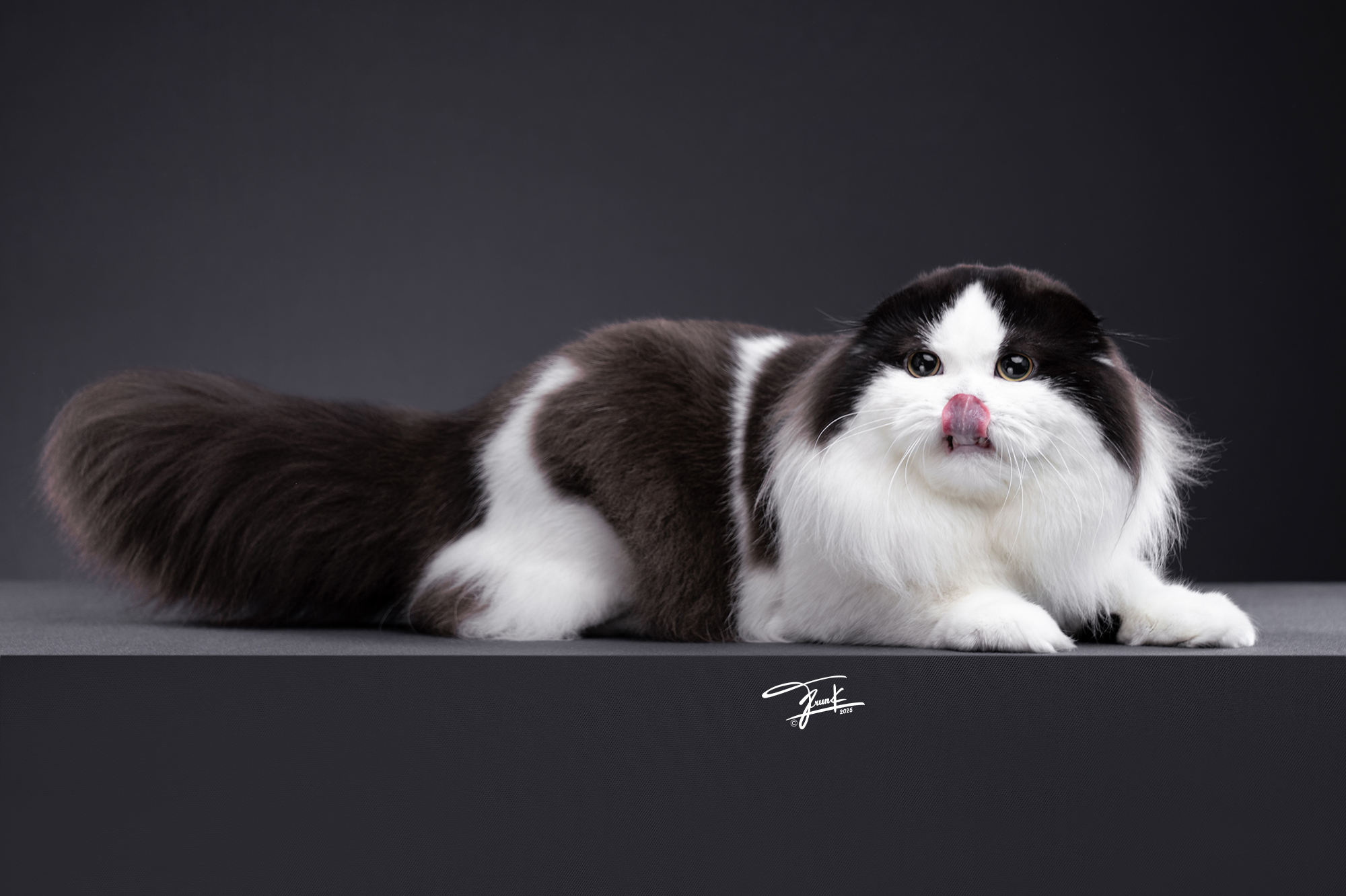 Pocchari's God of the beauty
