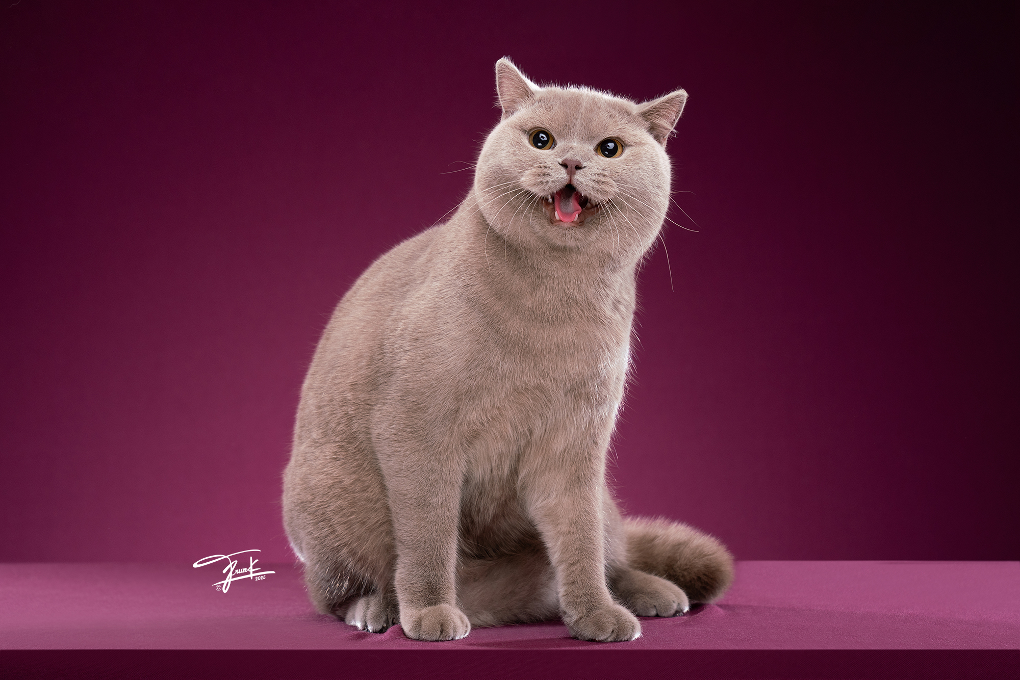 Pairama Space Autumn