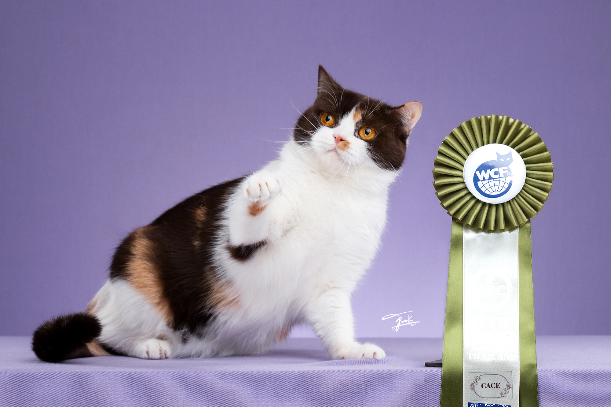 GICH. Hermes Sapphire Iconic Style