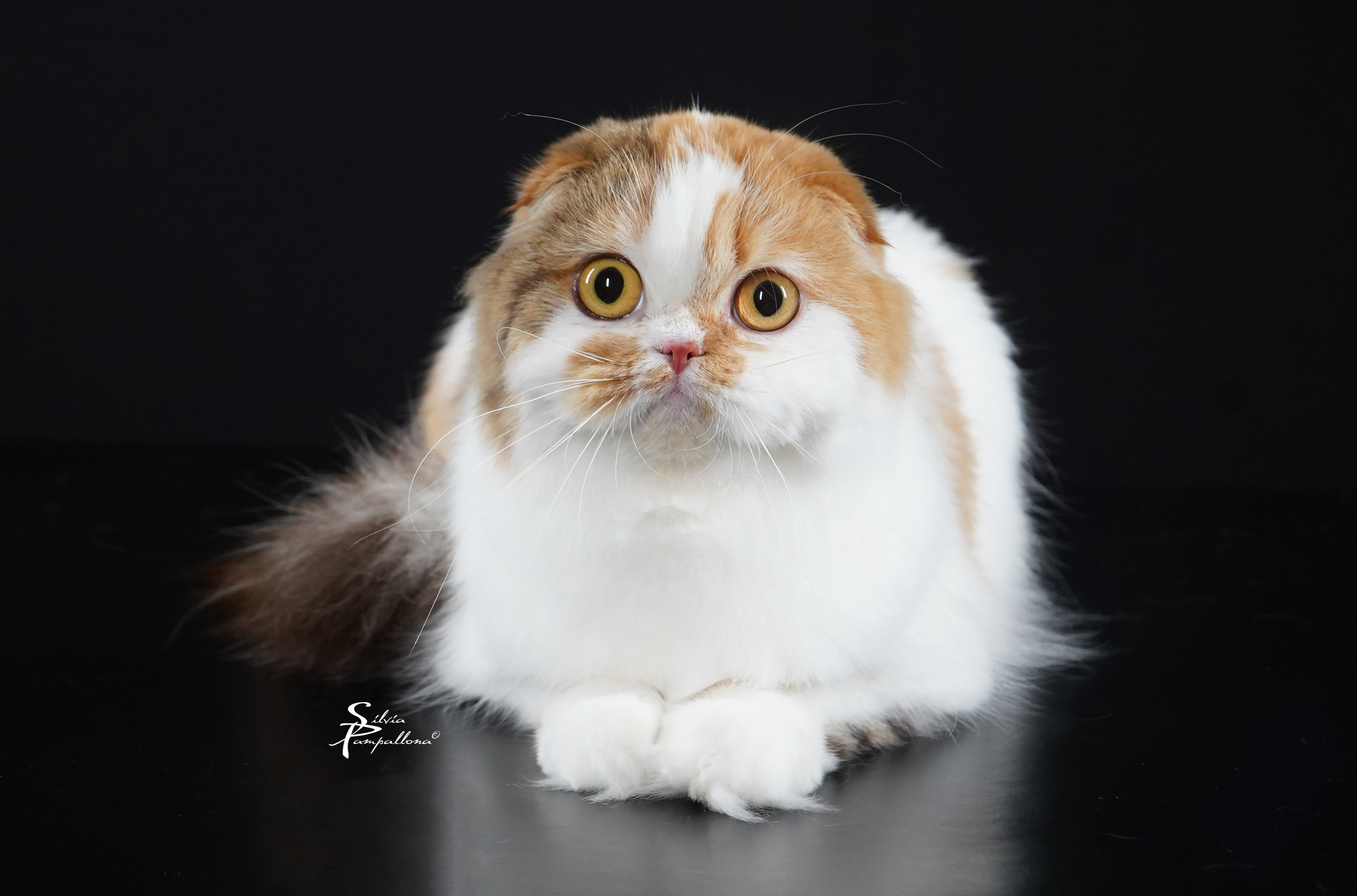 Giardino delle Favole Dafne