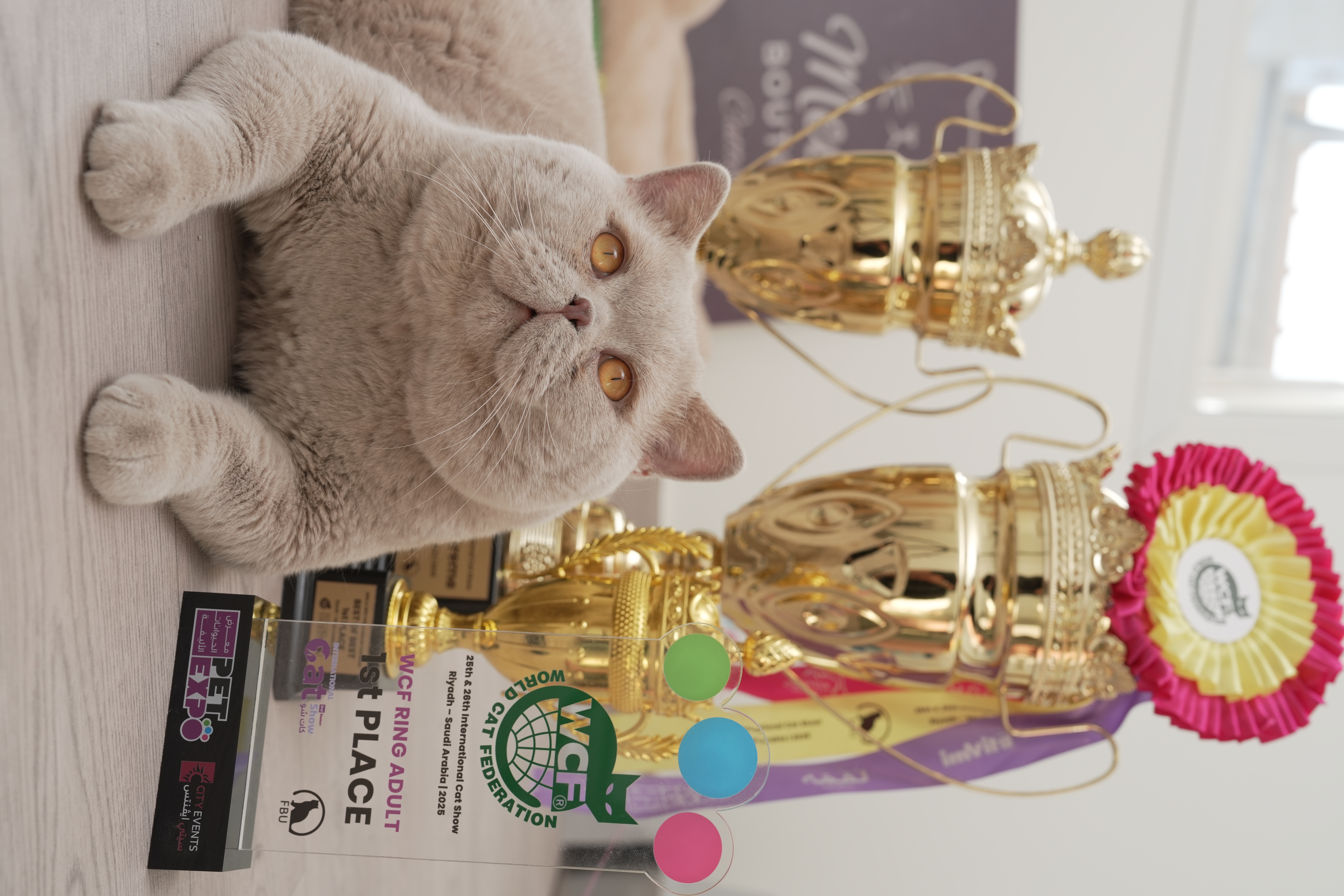 ECH. UA *SWEET BEAST XUSEYN CHAVUSH