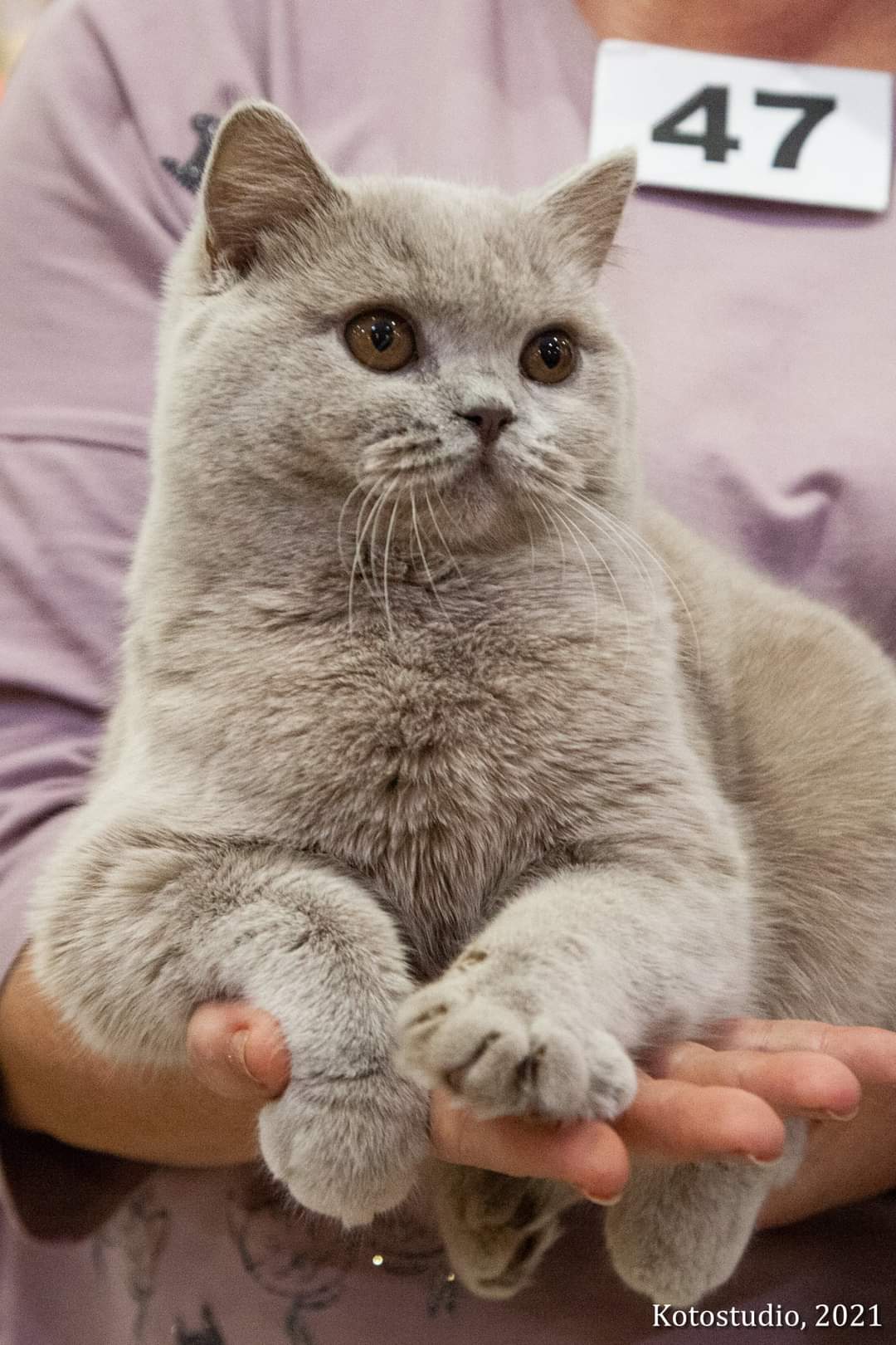 Belinda Enigmatic Smile