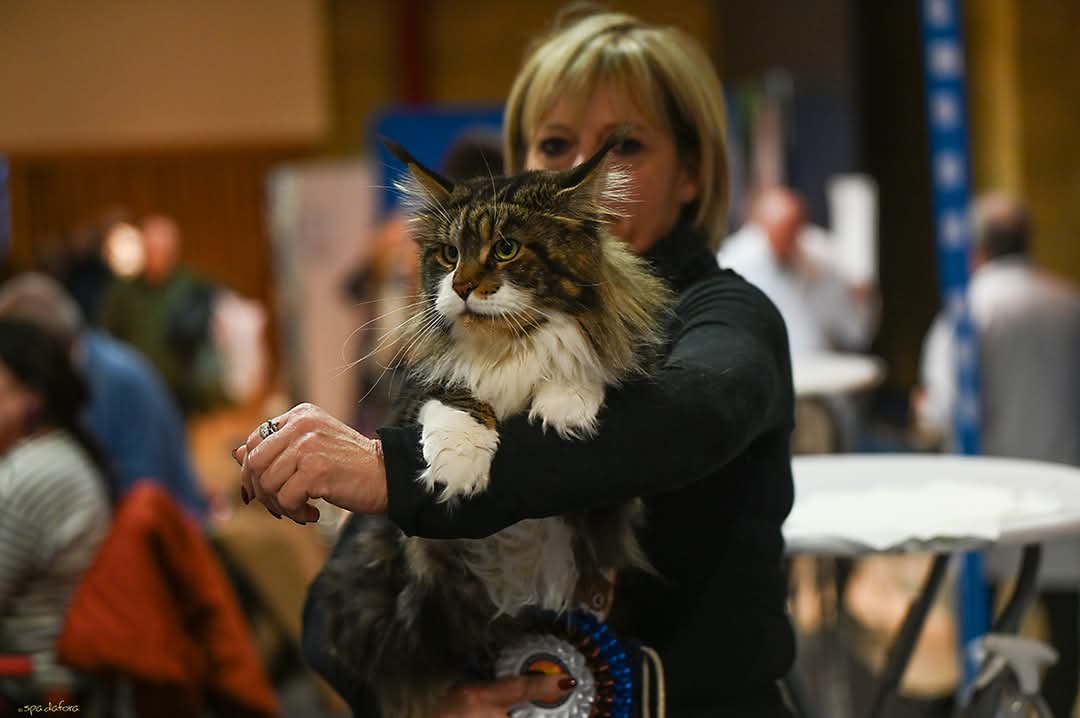 GICH. La Valle dell'InfernoHope