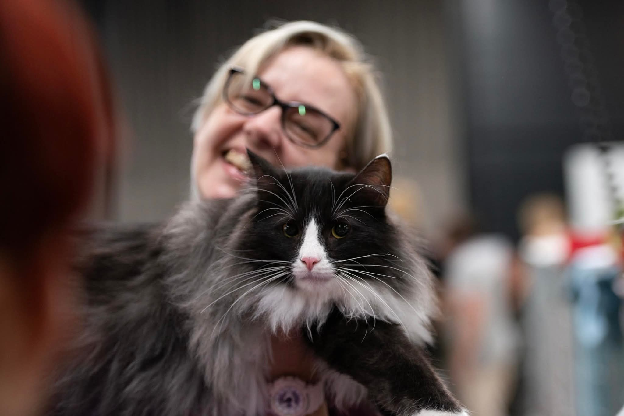 JCH. HR*Midola's Maestro