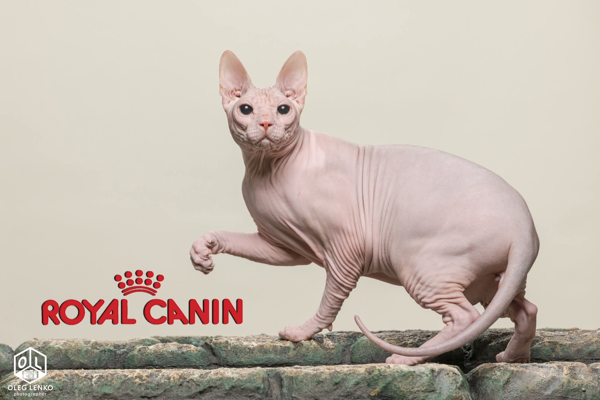 Nidgel Empiregreenberg