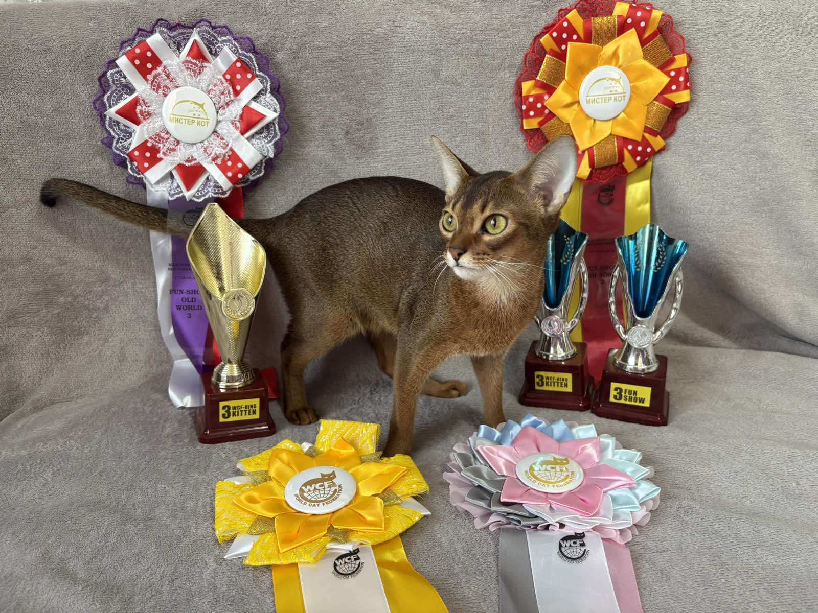 CH. USI LAPI I XVOSTI Gloria