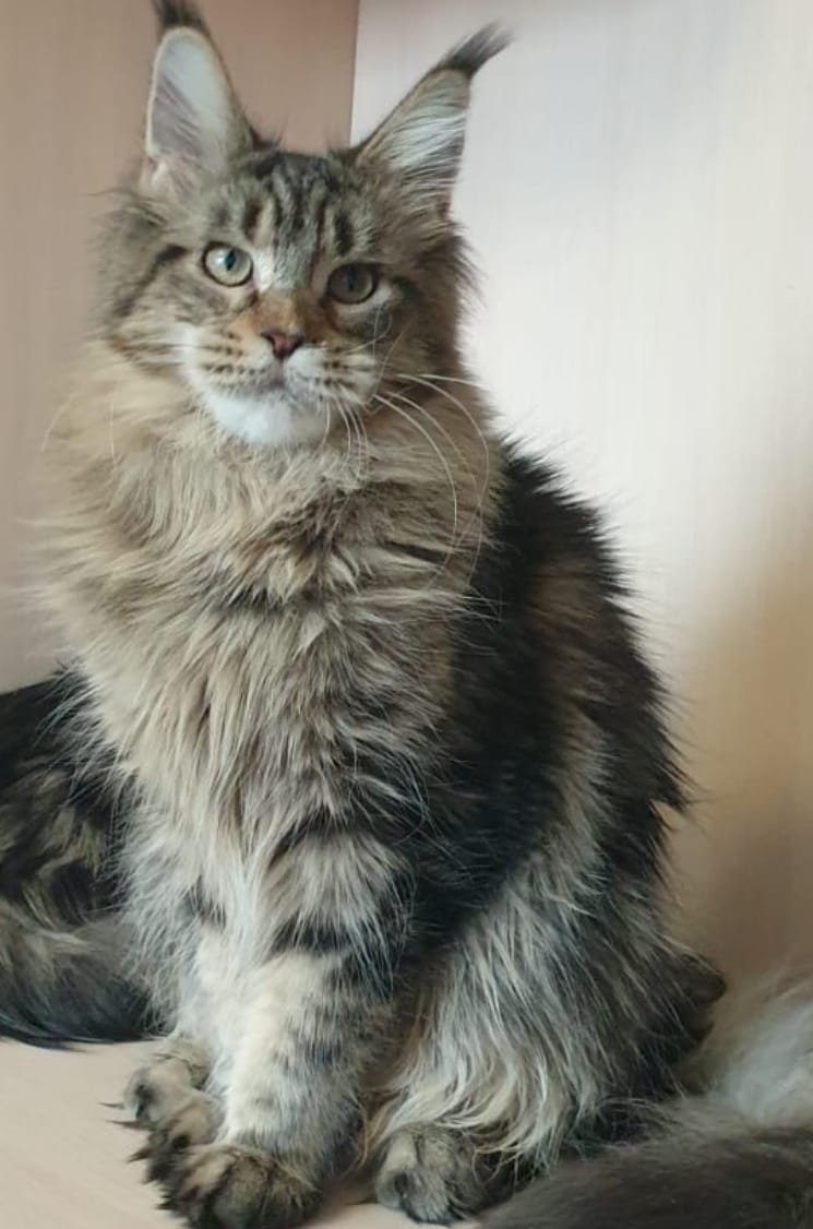 Fiery Angel´s Katarina