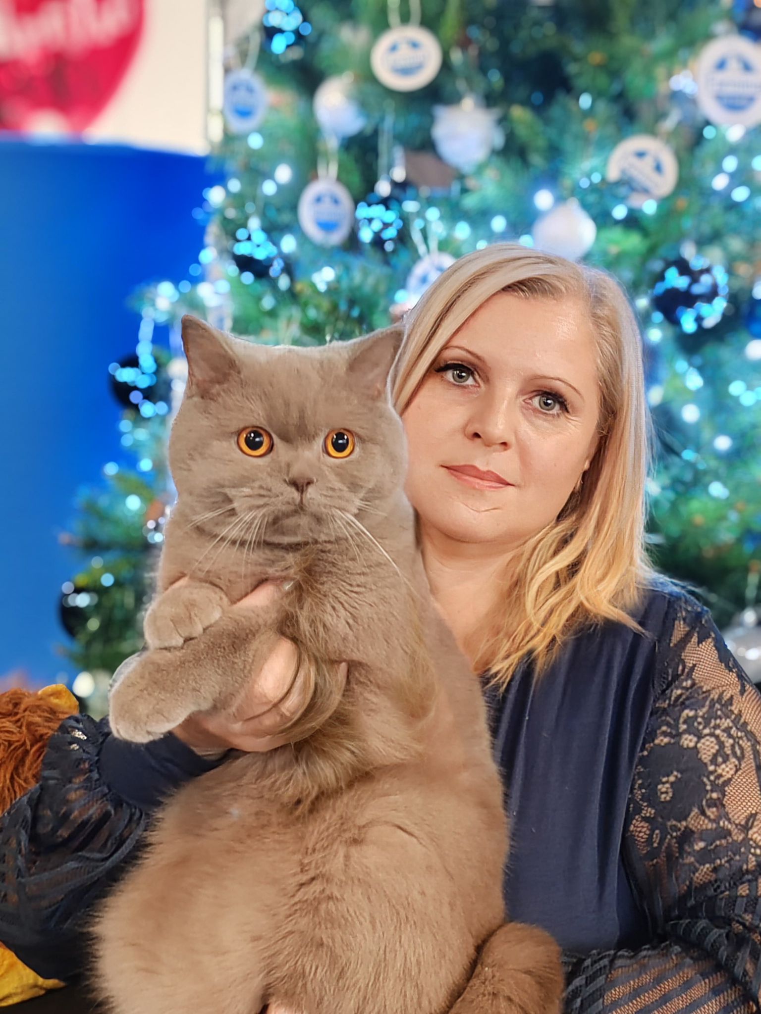 Master, GEPR. Full-Option by Viva L’Amore OF PERSILAND