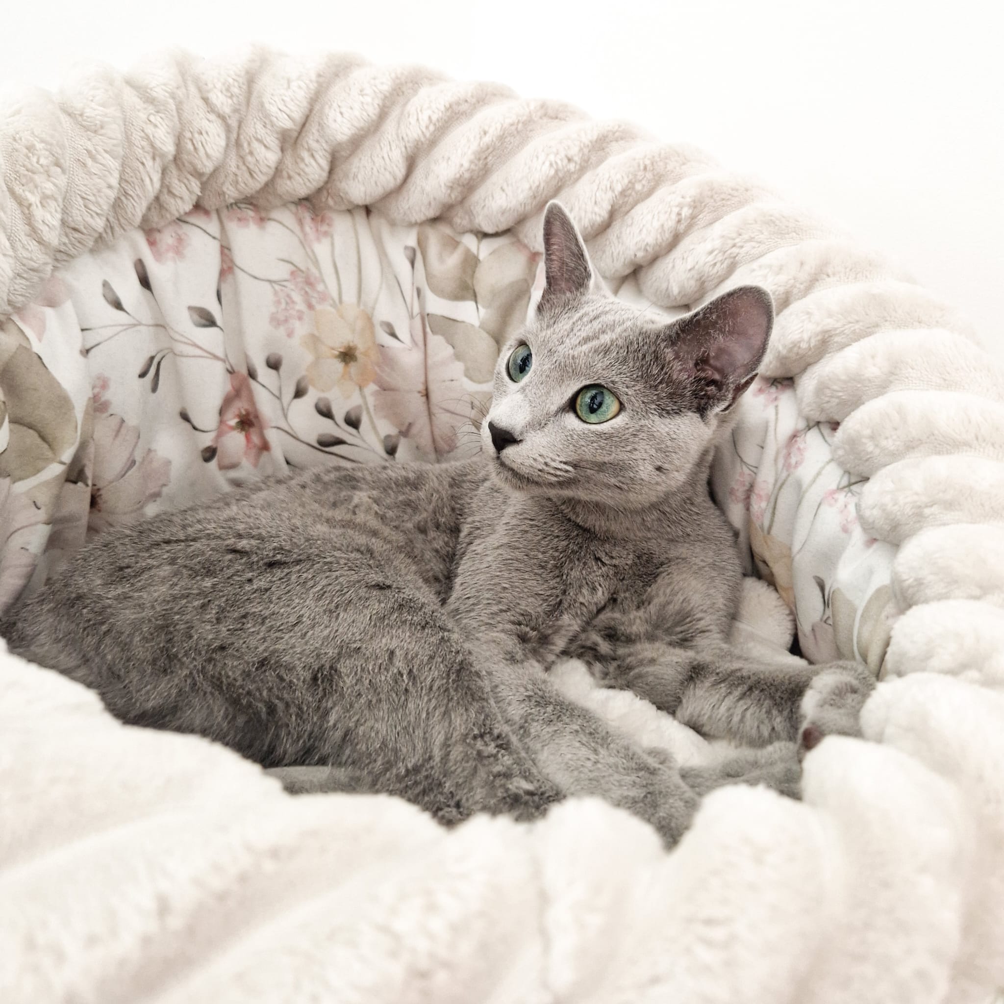 ICH. NORIKO NASZE SZMARAGDY*PL