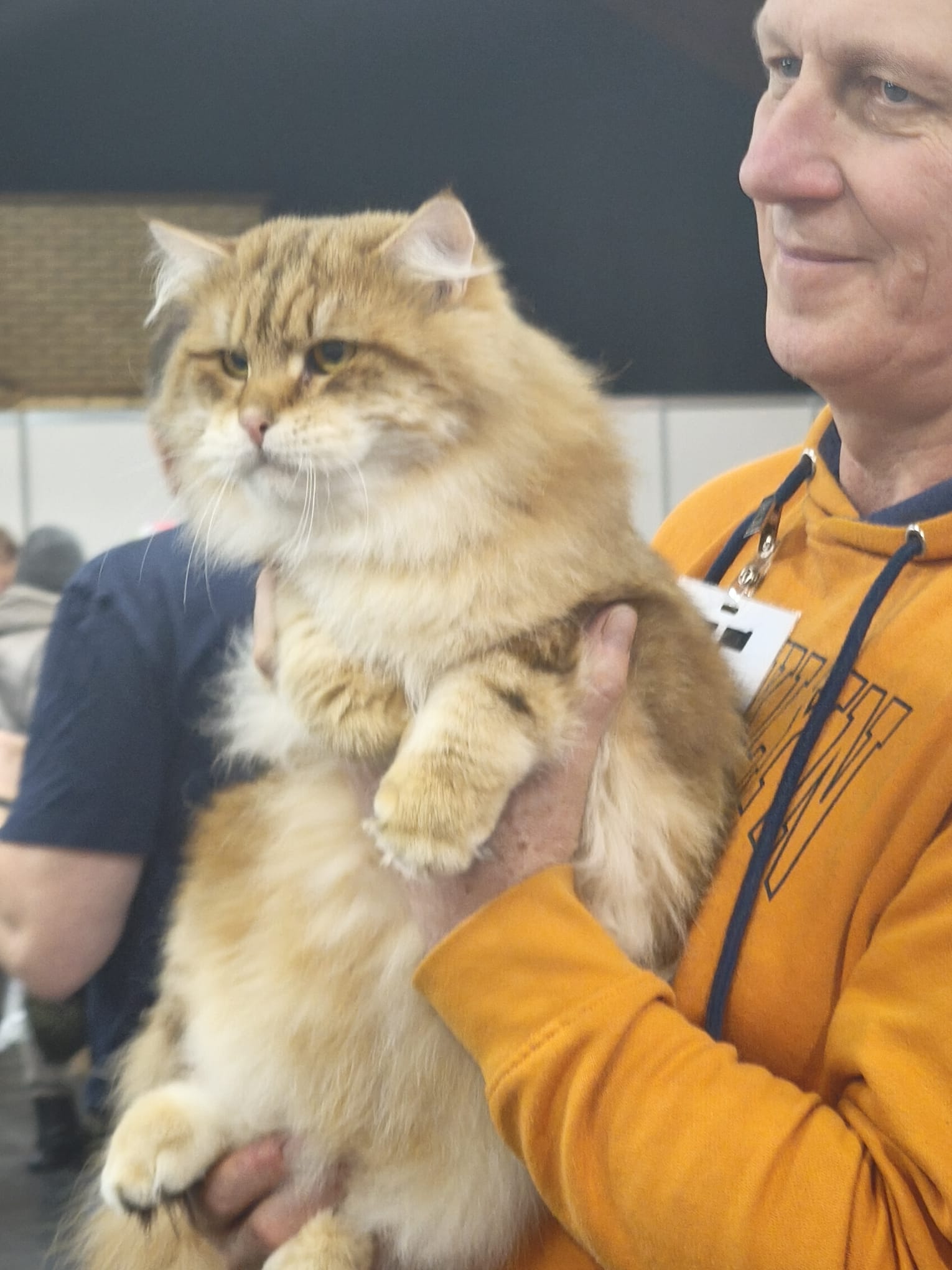 Dragomil ForestHunter