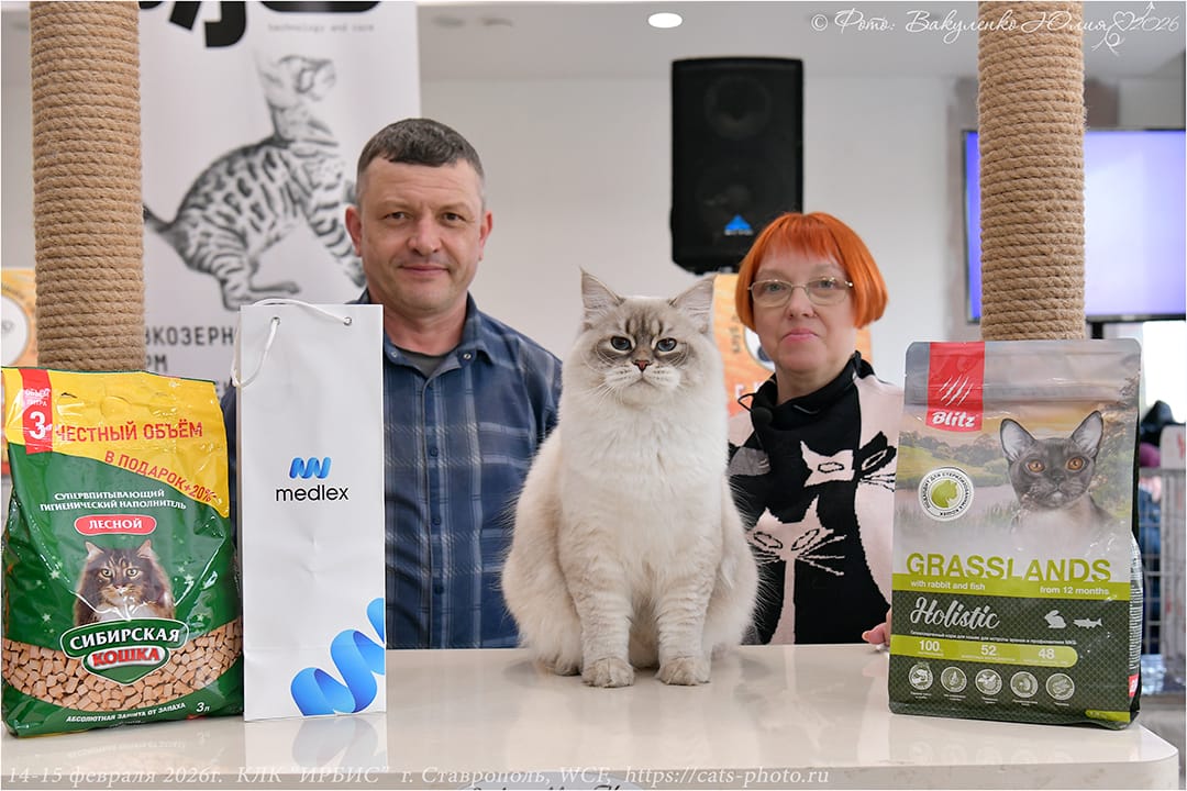 GICH. Neptun Blue Sea