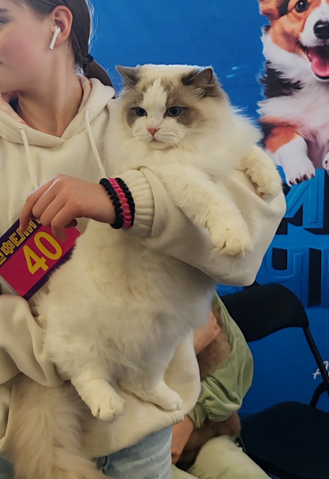 ICH. VANILLA PUDDING MIMI NATCE