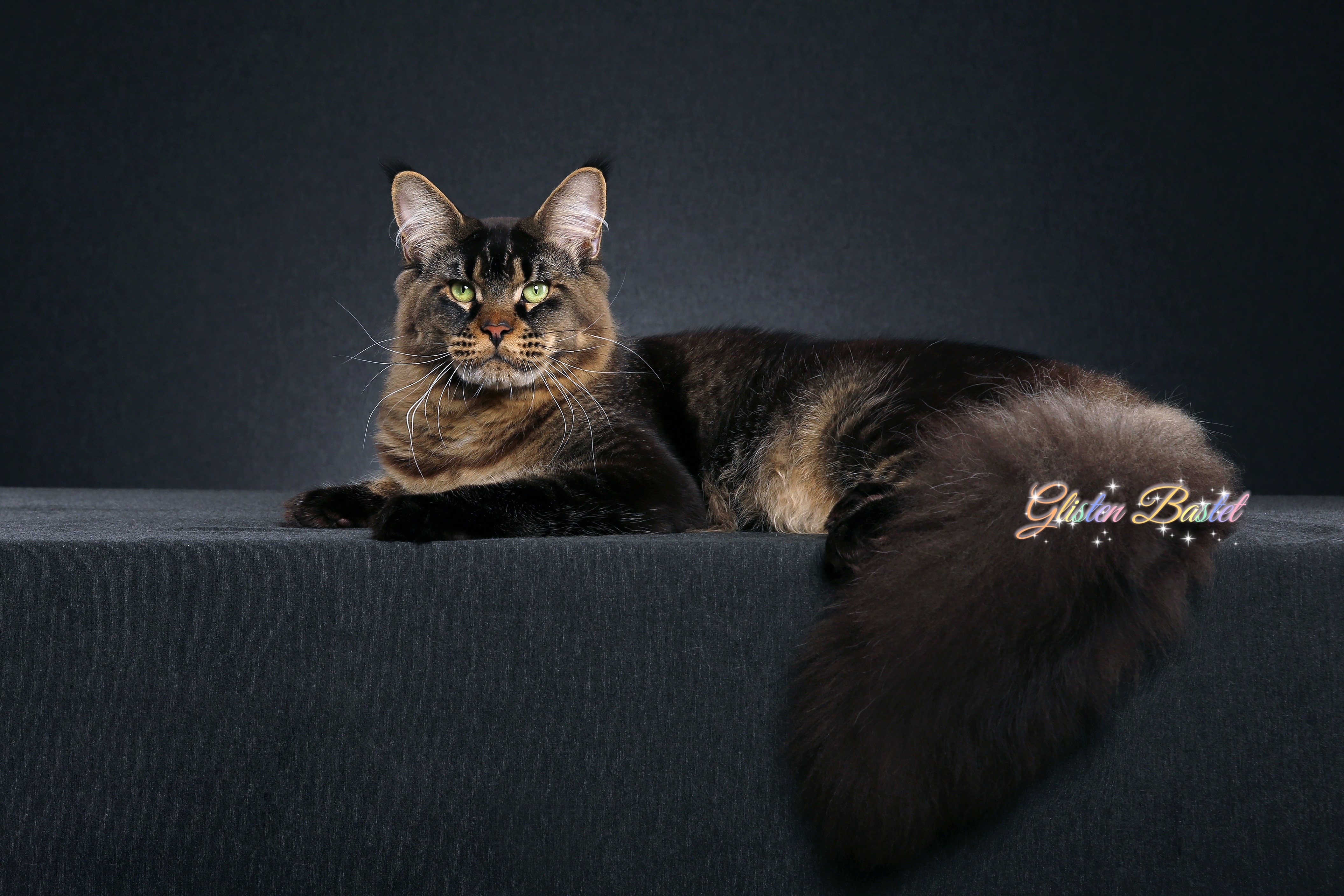 Glisten Bastet JinZi