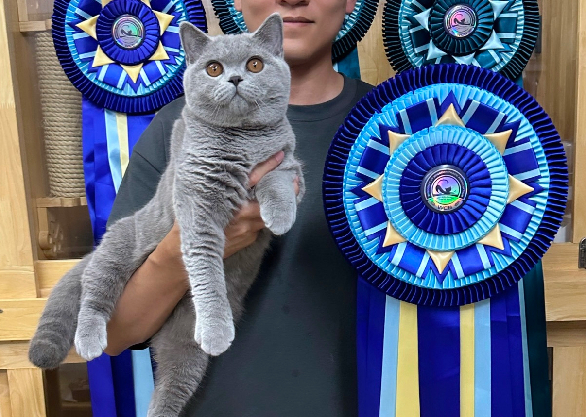 JCH. So Proud's Kooper