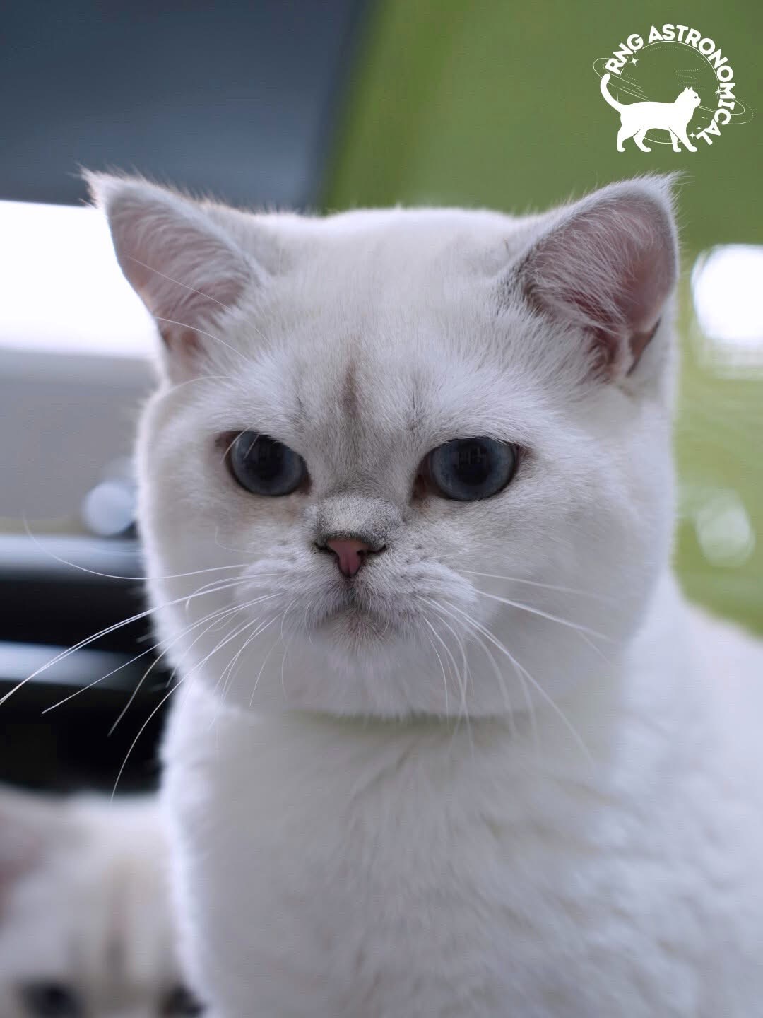 CH. Caph of RnG Astronomical